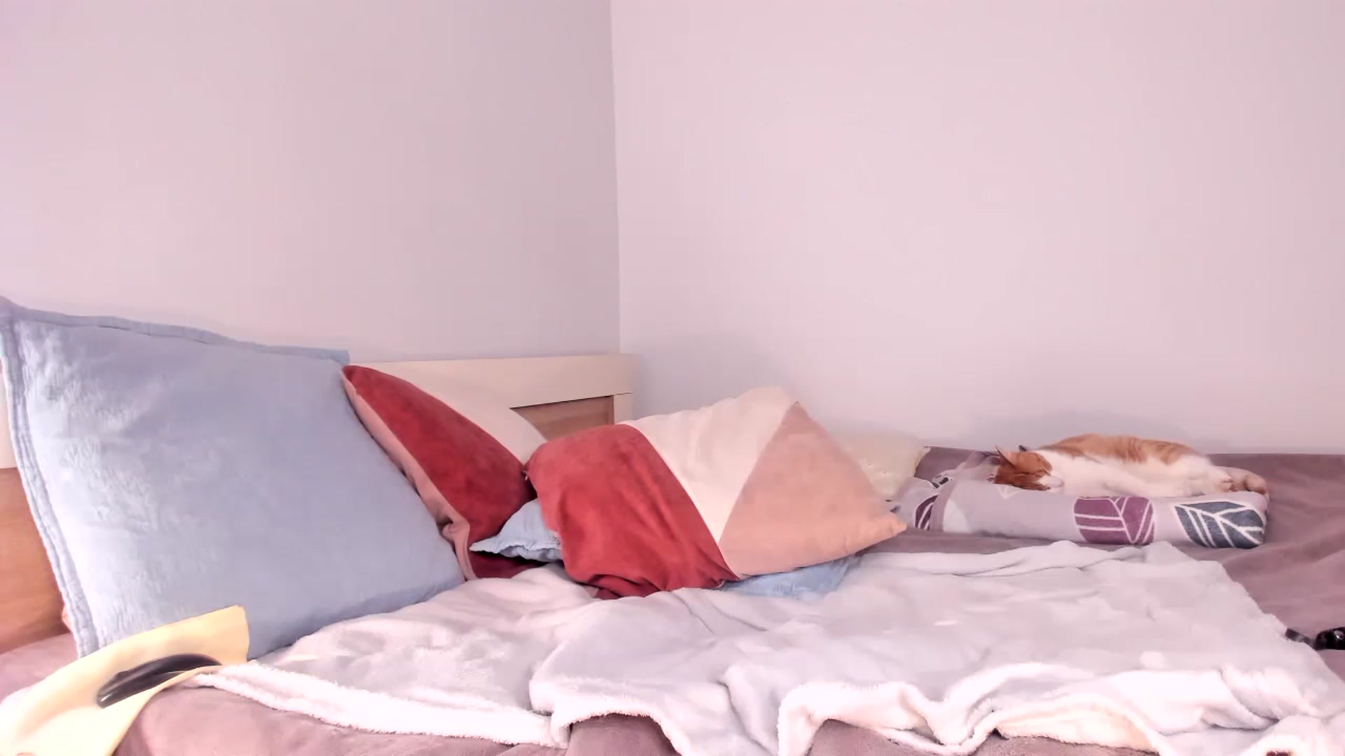 Gallery image thumbnail from Ana__xo's myfreecams stream on, 11/14/2024, 18:19 image 13 of 20