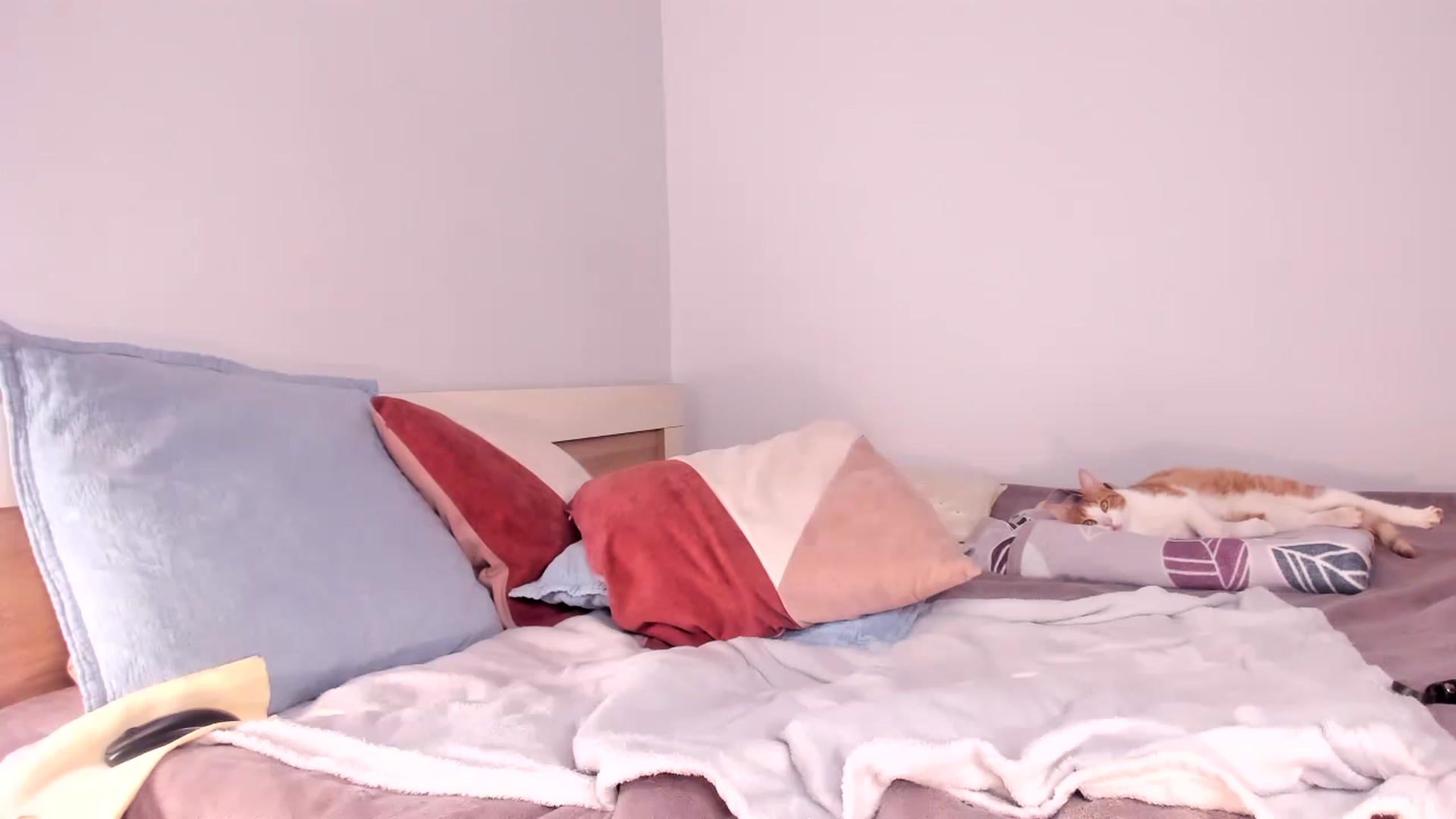 Gallery image thumbnail from Ana__xo's myfreecams stream on, 11/14/2024, 18:19 image 14 of 20