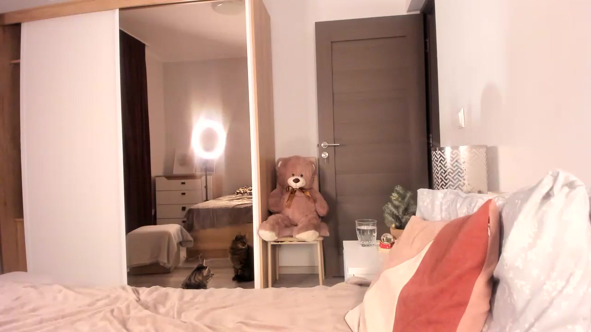 Gallery image thumbnail from Ana__xo's myfreecams stream on, 12/18/2024, 21:08 image 20 of 20