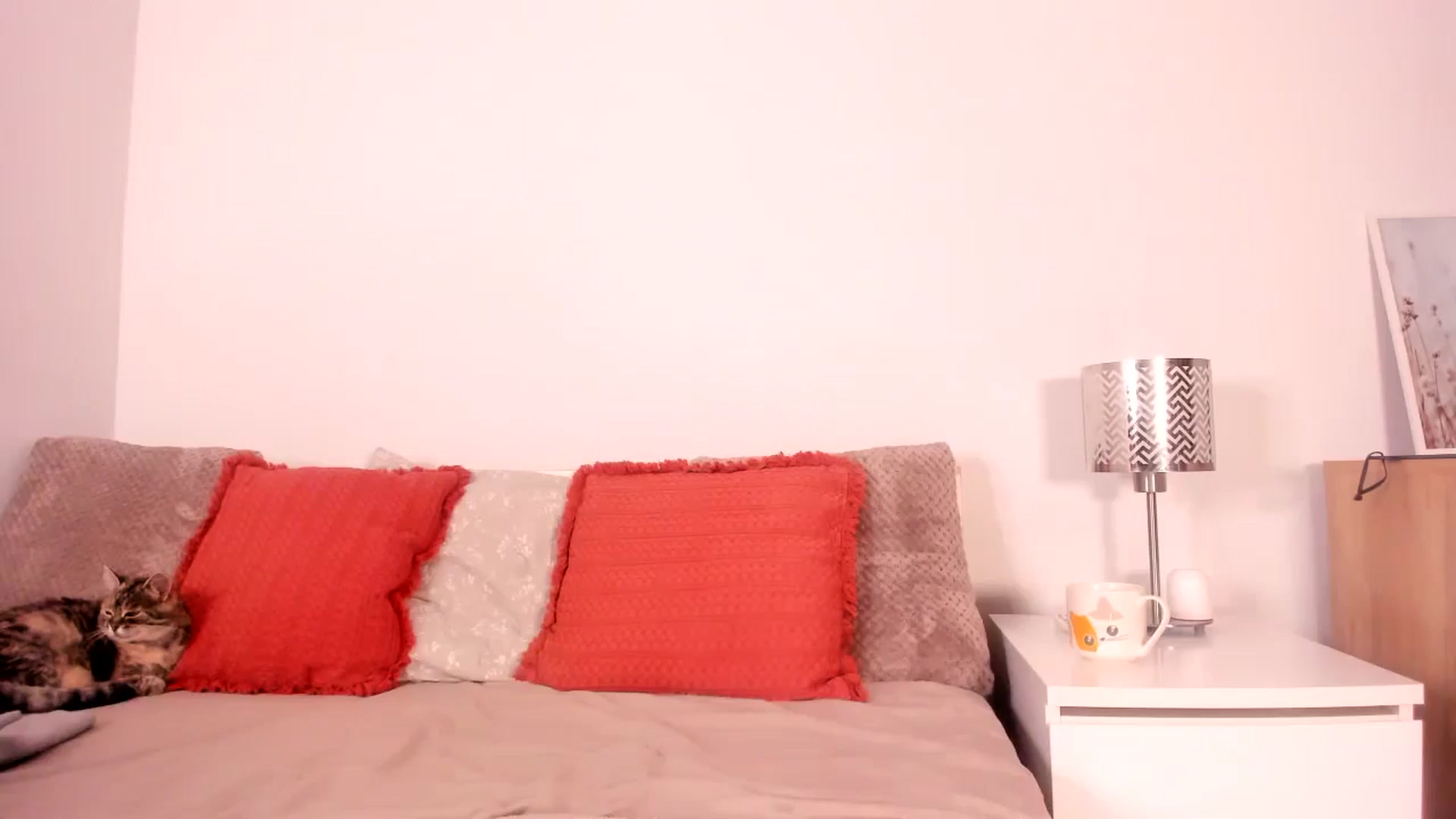 Gallery image thumbnail from Ana__xo's myfreecams stream on, 05/08/2025, 19:07 image 19 of 20