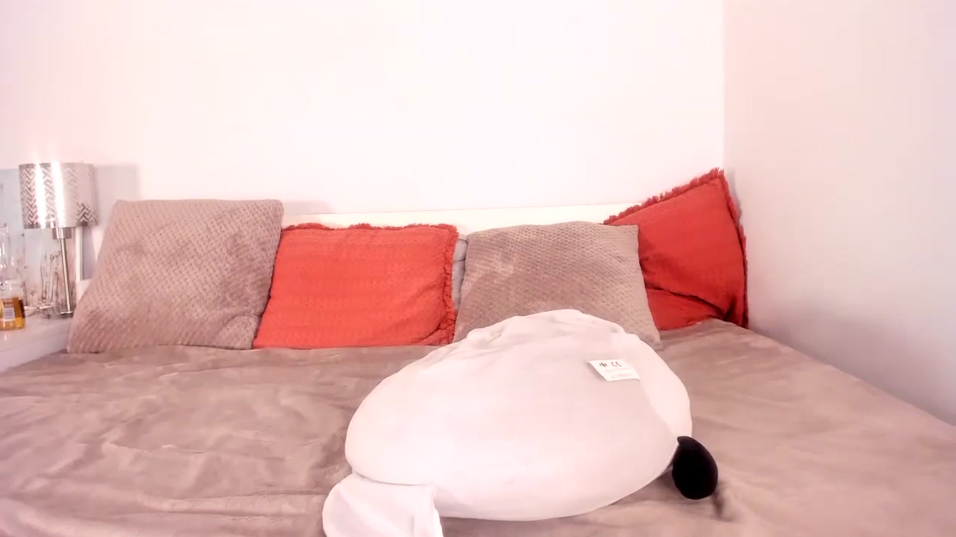 Gallery image thumbnail from Ana__xo's myfreecams stream on, 08/02/2025, 18:35 image 18 of 20