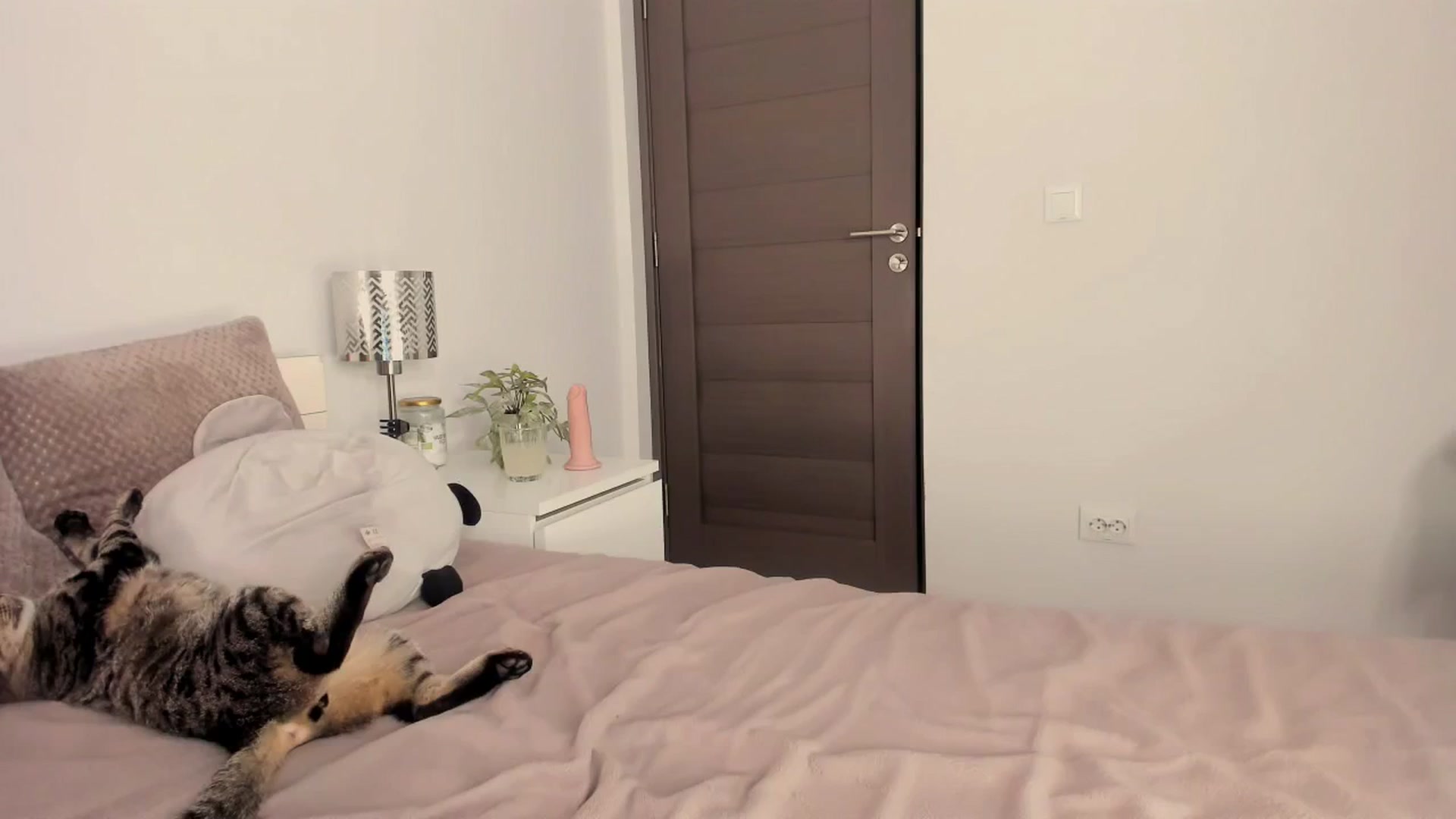 Gallery image thumbnail from Ana__xo's myfreecams stream on, 10/10/2025, 20:36 image 12 of 20