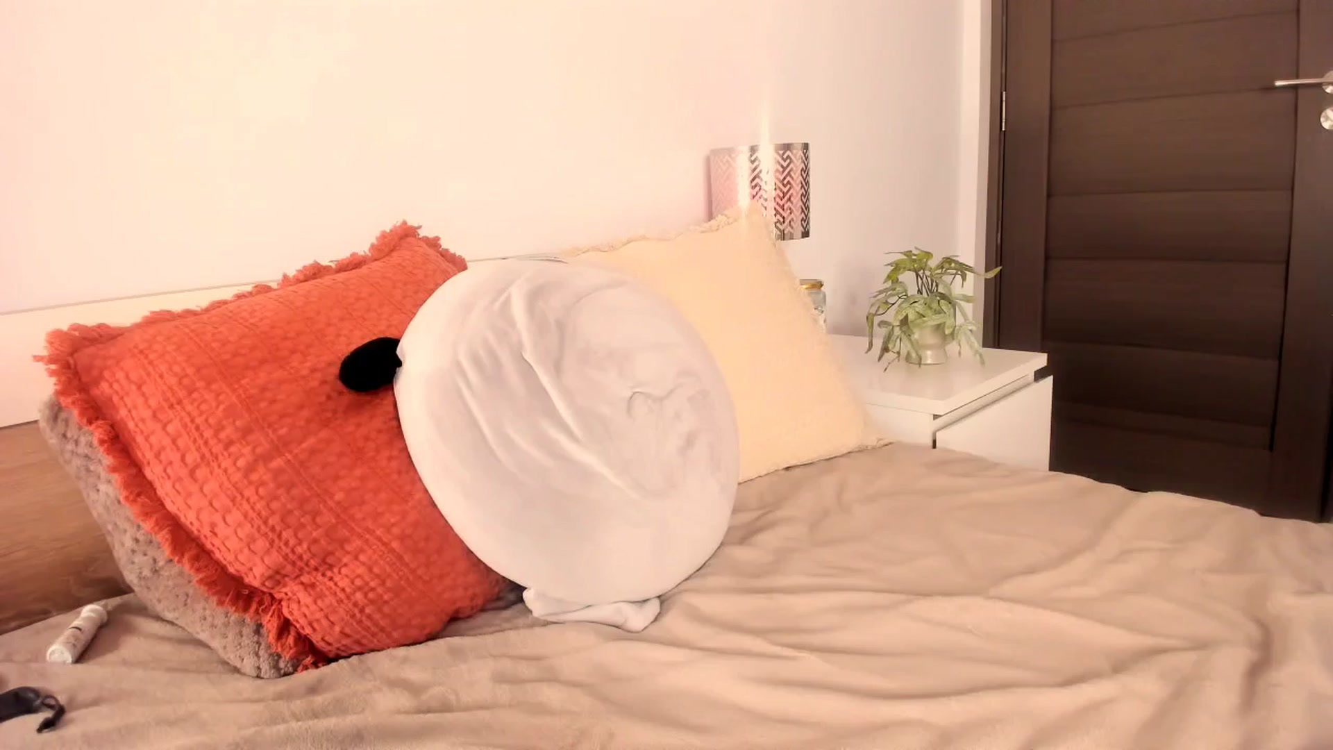 Gallery image thumbnail from Ana__xo's myfreecams stream on, 10/19/2025, 19:04 image 20 of 20