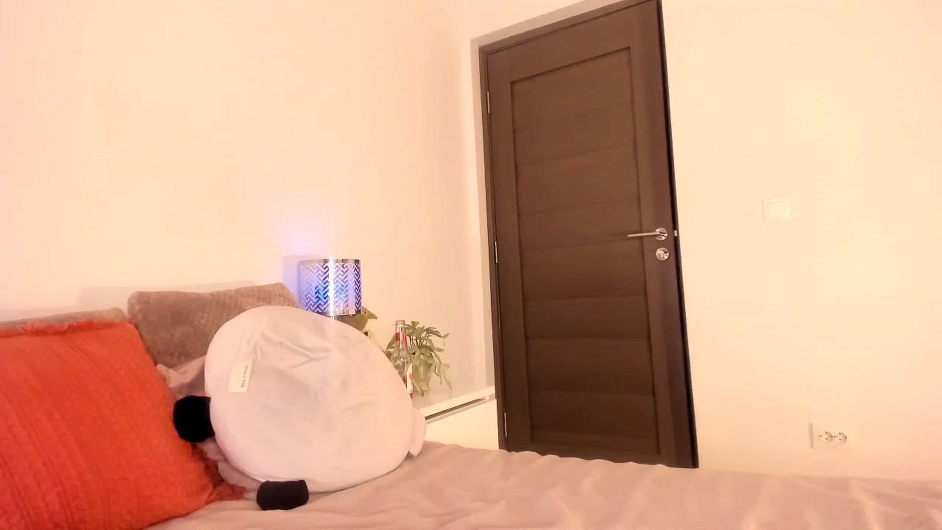 Gallery image thumbnail from Ana__xo's myfreecams stream on, 01/28/2026, 20:39 image 13 of 20