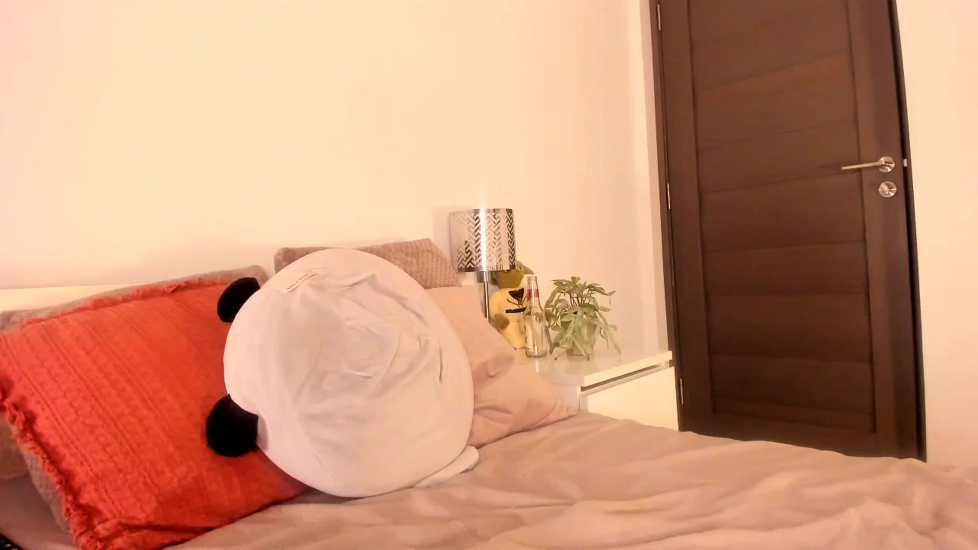 Gallery image thumbnail from Ana__xo's myfreecams stream on, 01/28/2026, 20:39 image 20 of 20
