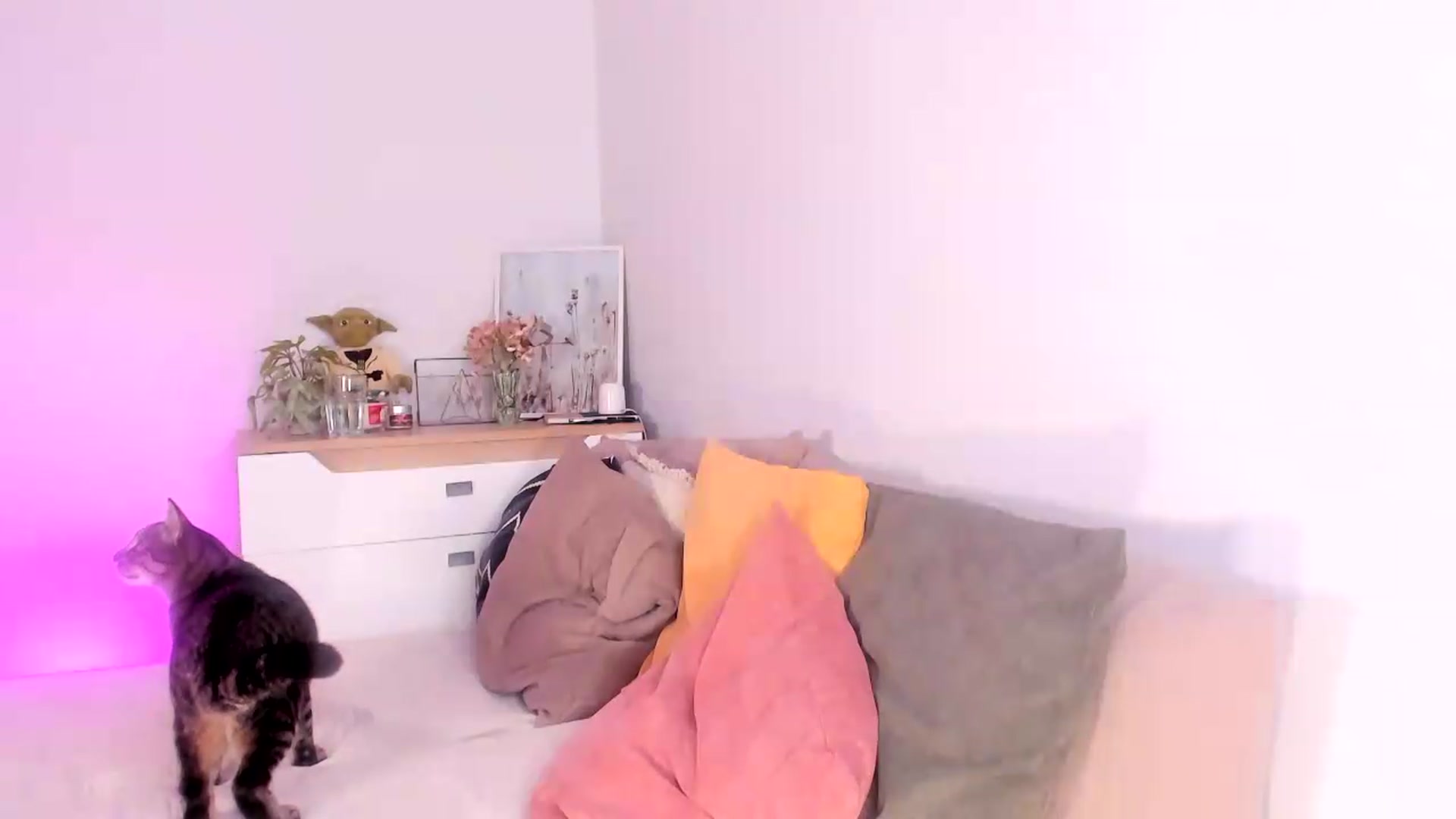 Gallery image thumbnail from Ana__xo's myfreecams stream on, 09/08/2026, 20:01 image 11 of 20