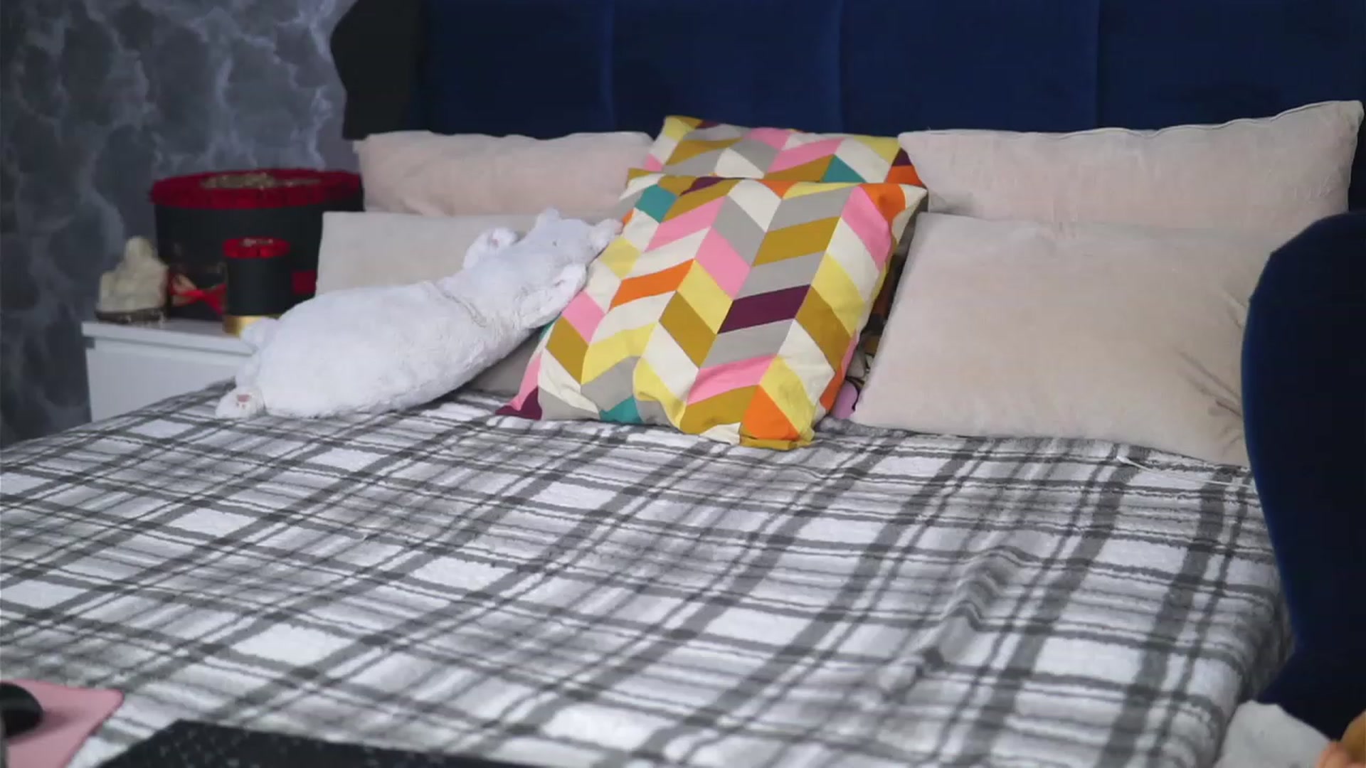 Gallery image thumbnail from AnaisBellas's myfreecams stream on, 11/17/2023, 03:05 image 13 of 20