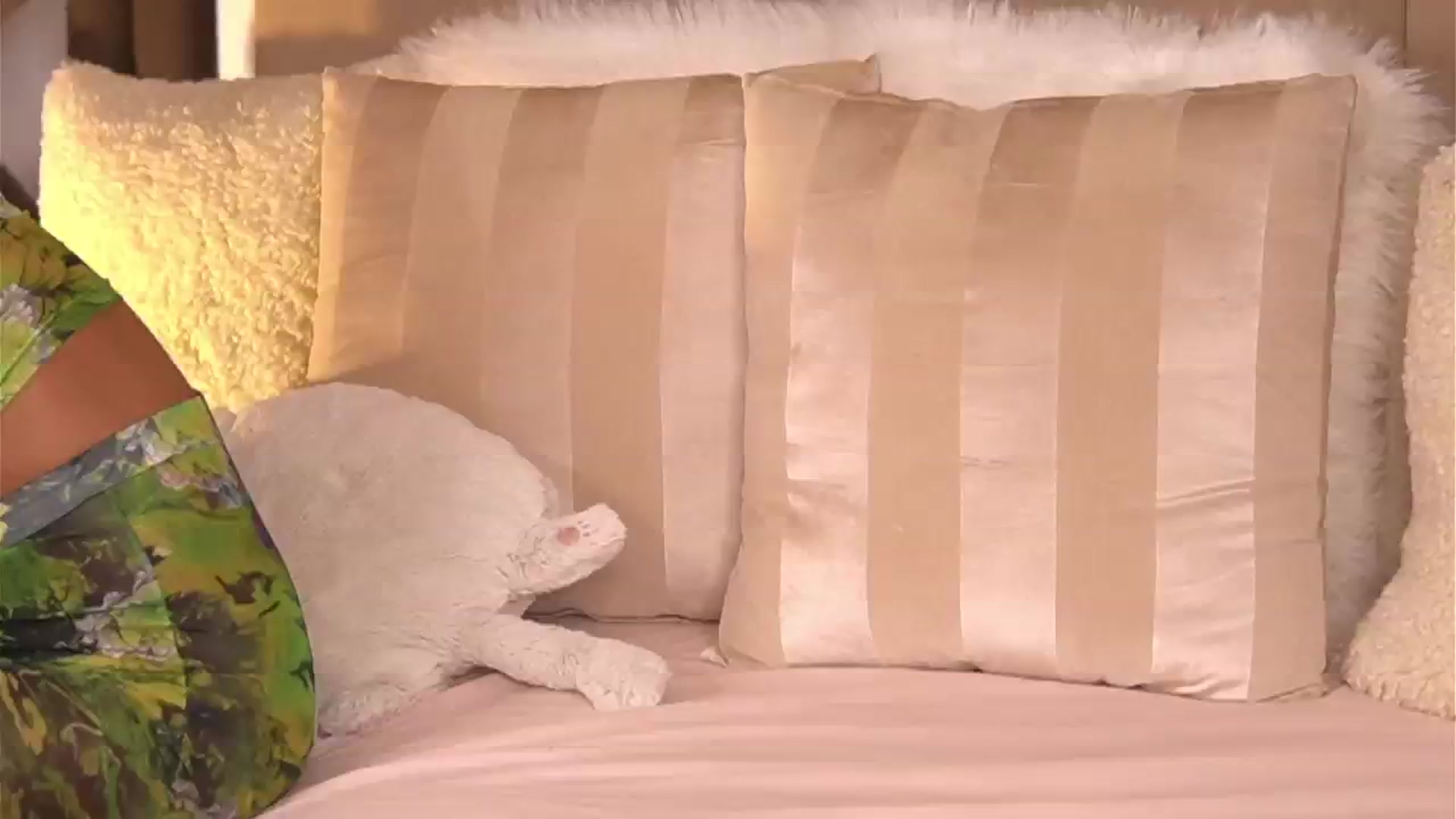 Gallery image thumbnail from AnaisBellas's myfreecams stream on, 11/12/2024, 05:26 image 8 of 20