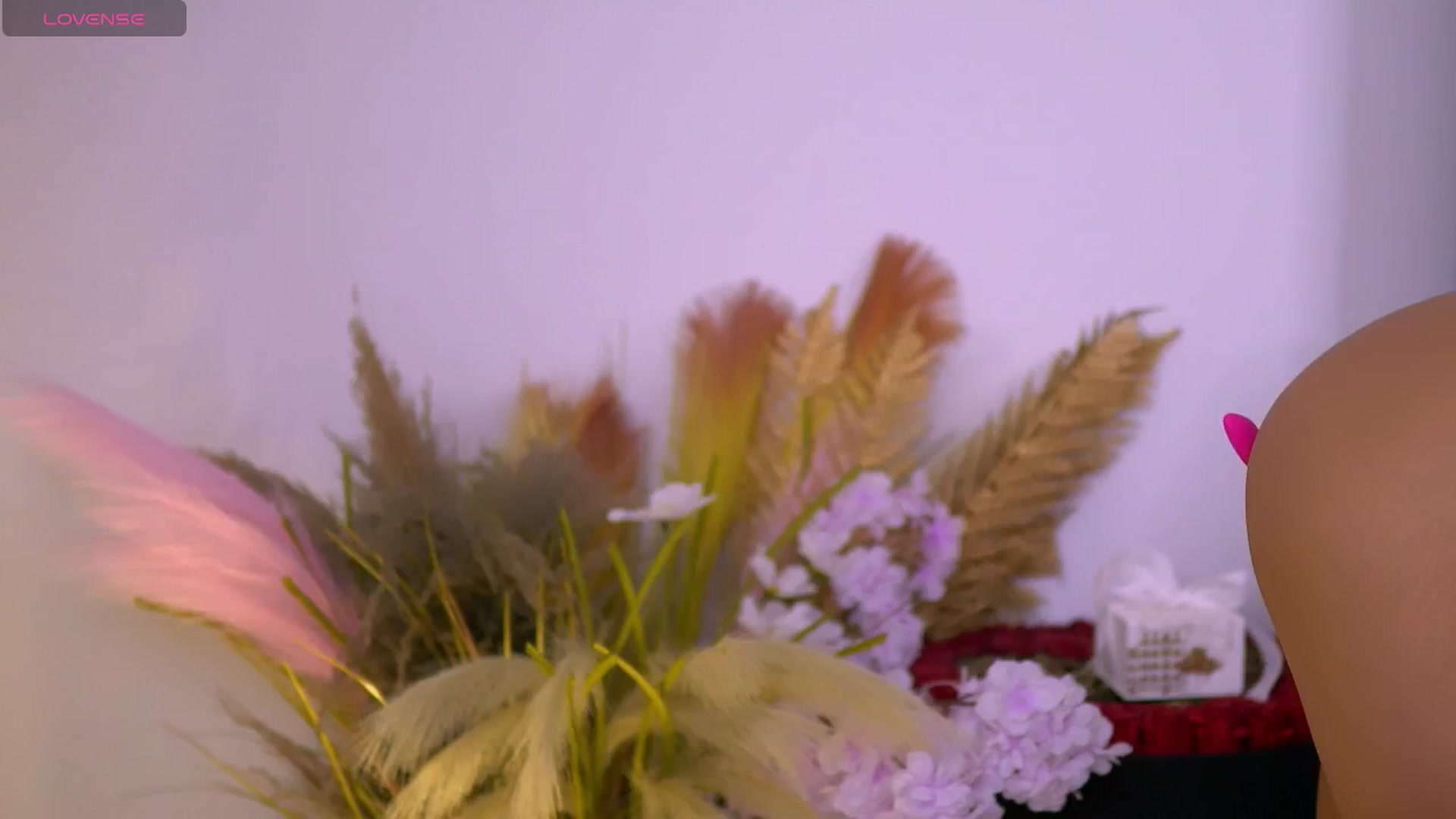 Gallery image thumbnail from AnaisBellas's myfreecams stream on, 12/25/2025, 01:20 image 18 of 20