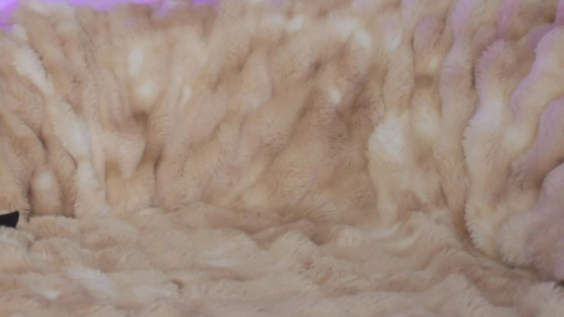 Gallery image thumbnail from AnaisBloom's myfreecams stream on, 03/23/2026, 22:19 image 20 of 20