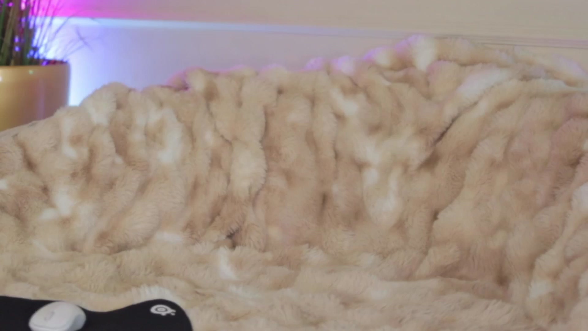 Gallery image thumbnail from AnaisBloom's myfreecams stream on, 04/23/2026, 02:43 image 11 of 20