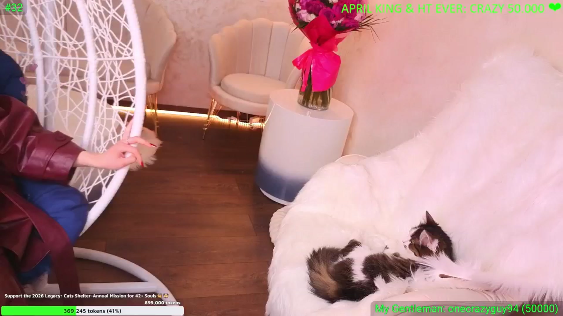Gallery image thumbnail from Anais__'s myfreecams stream on, 05/01/2026, 01:57 image 4 of 20