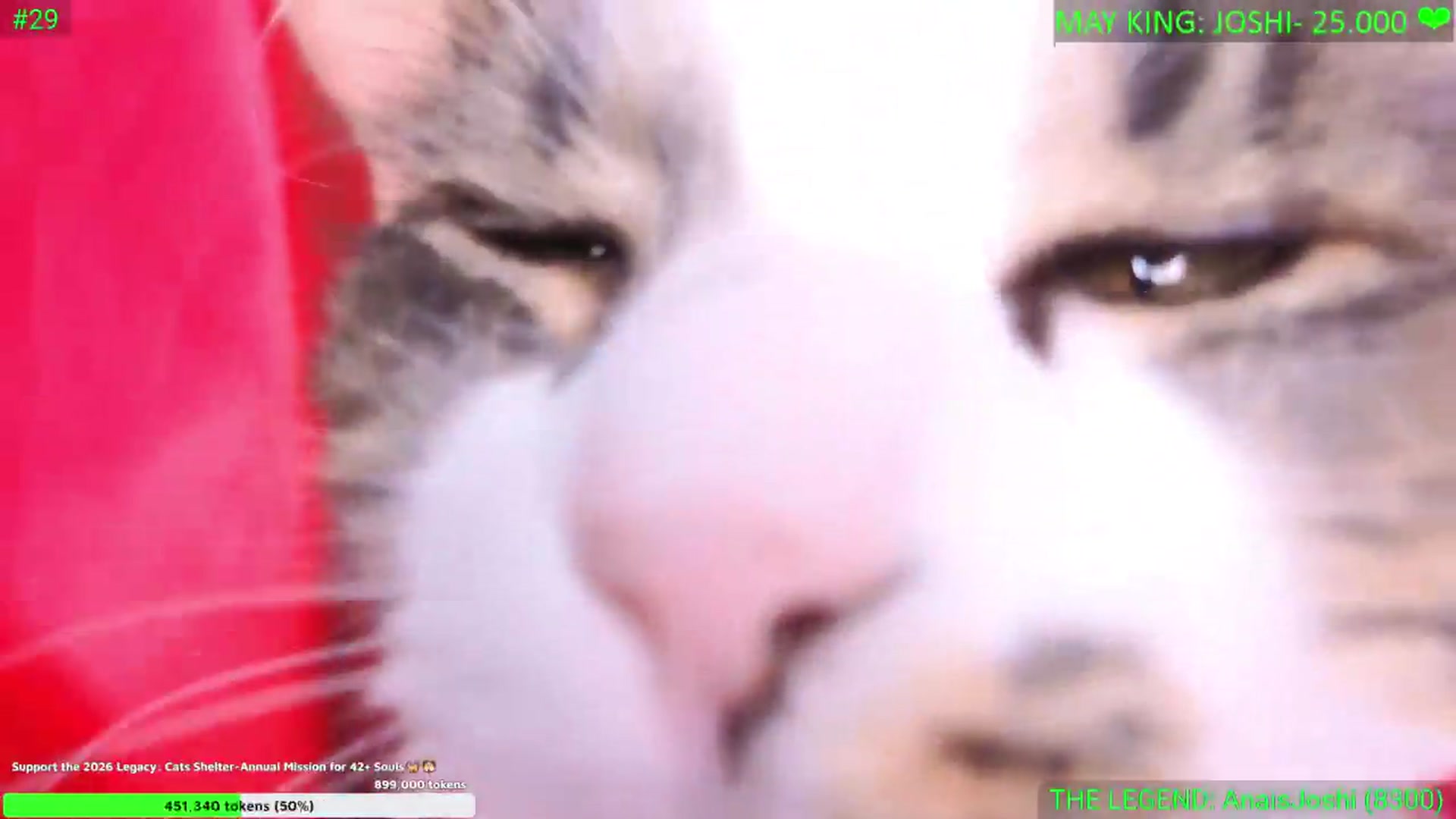 Gallery image thumbnail from Anais__'s myfreecams stream on, 05/10/2026, 24:44 image 9 of 20