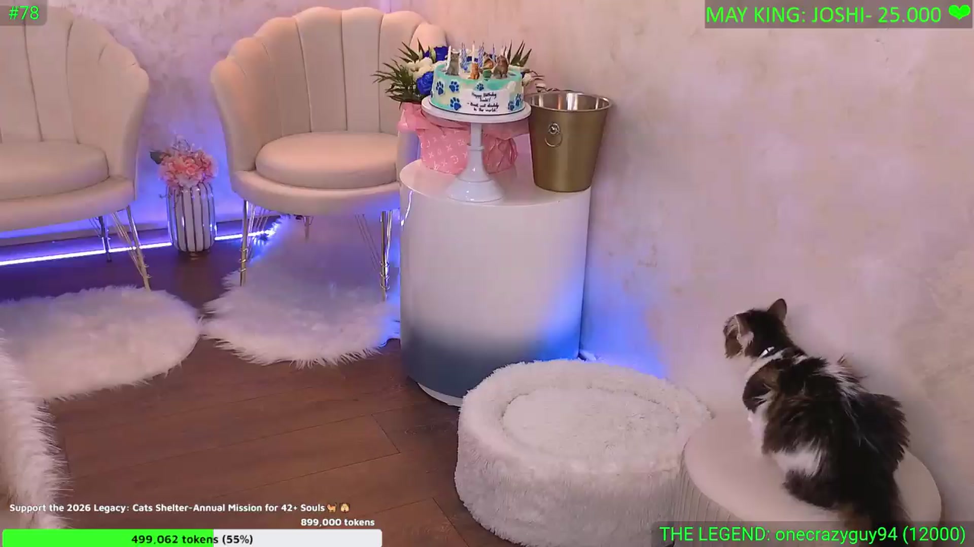 Gallery image thumbnail from Anais__'s myfreecams stream on, 05/29/2026, 24:04 image 8 of 20