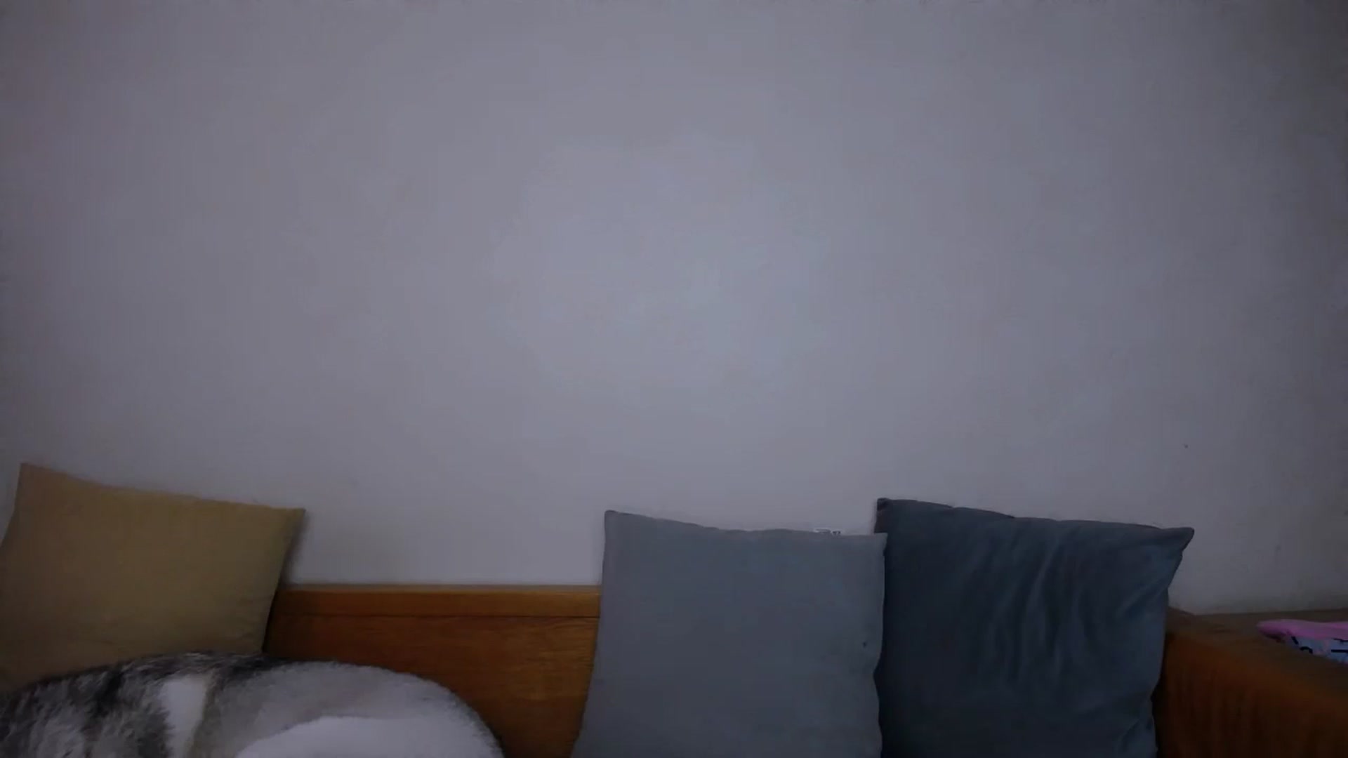 Gallery image thumbnail from AnasLoves's myfreecams stream on, 11/08/2023, 12:24 image 1 of 20