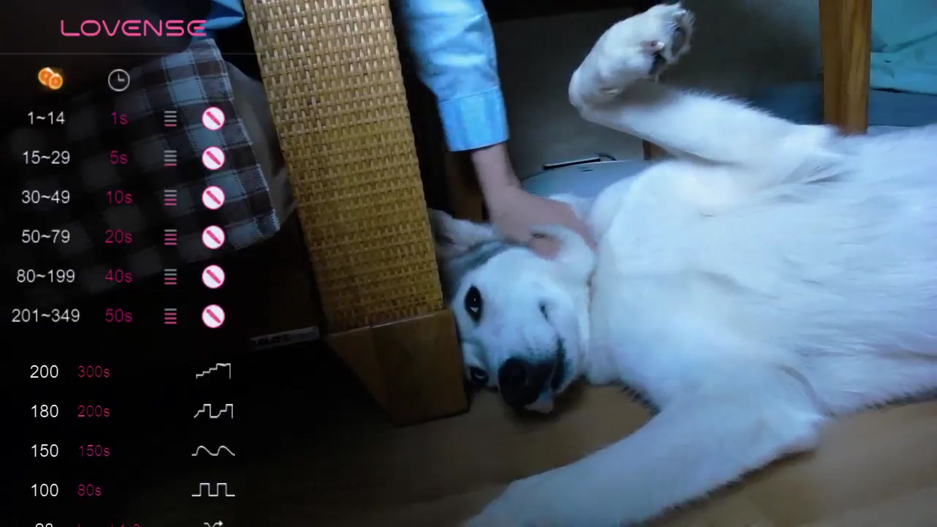 Gallery image thumbnail from AnasLoves's myfreecams stream on, 11/12/2023, 16:04 image 3 of 20