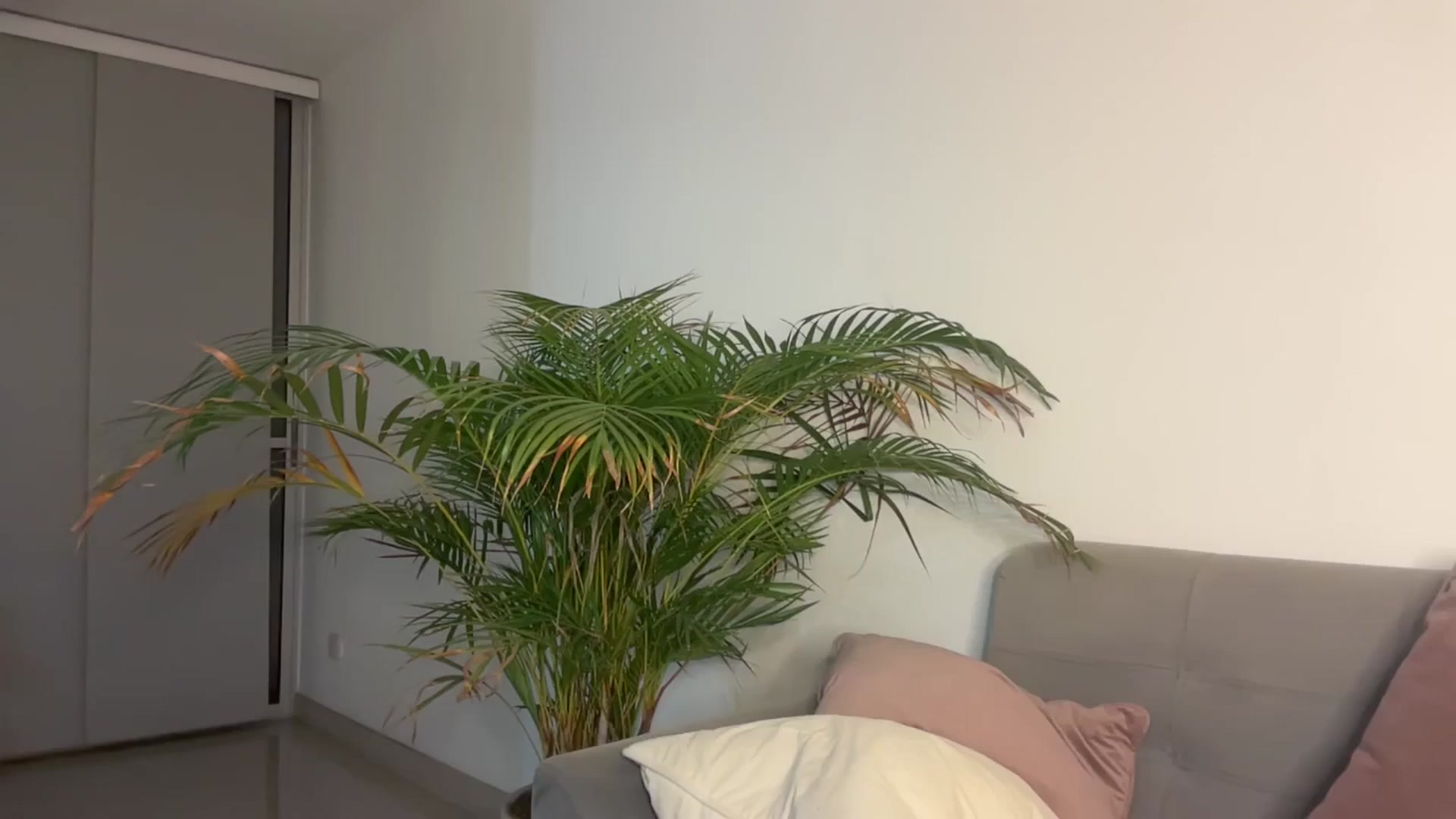 Gallery image thumbnail from Anastasia_sea's myfreecams stream on, 01/26/2025, 24:01 image 18 of 20