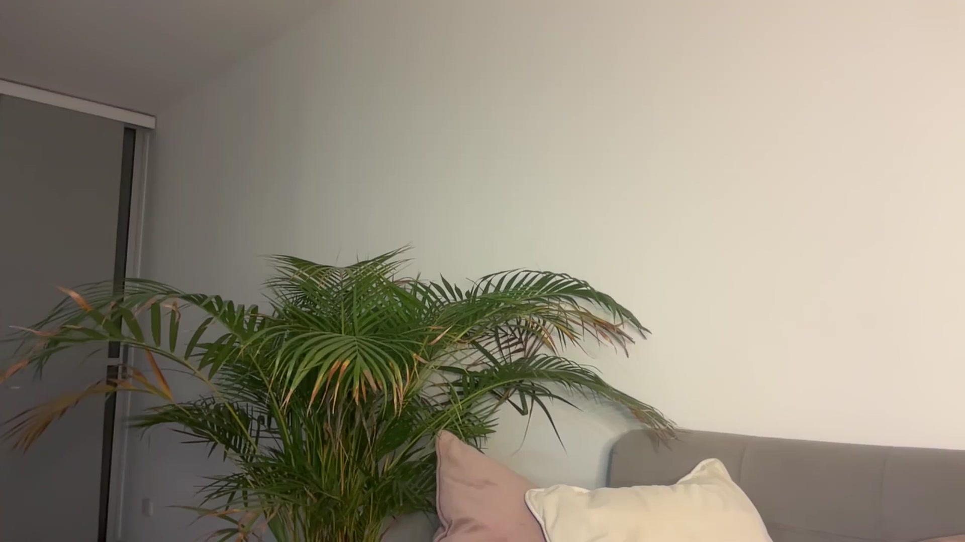 Gallery image thumbnail from Anastasia_sea's myfreecams stream on, 01/26/2025, 01:27 image 8 of 20