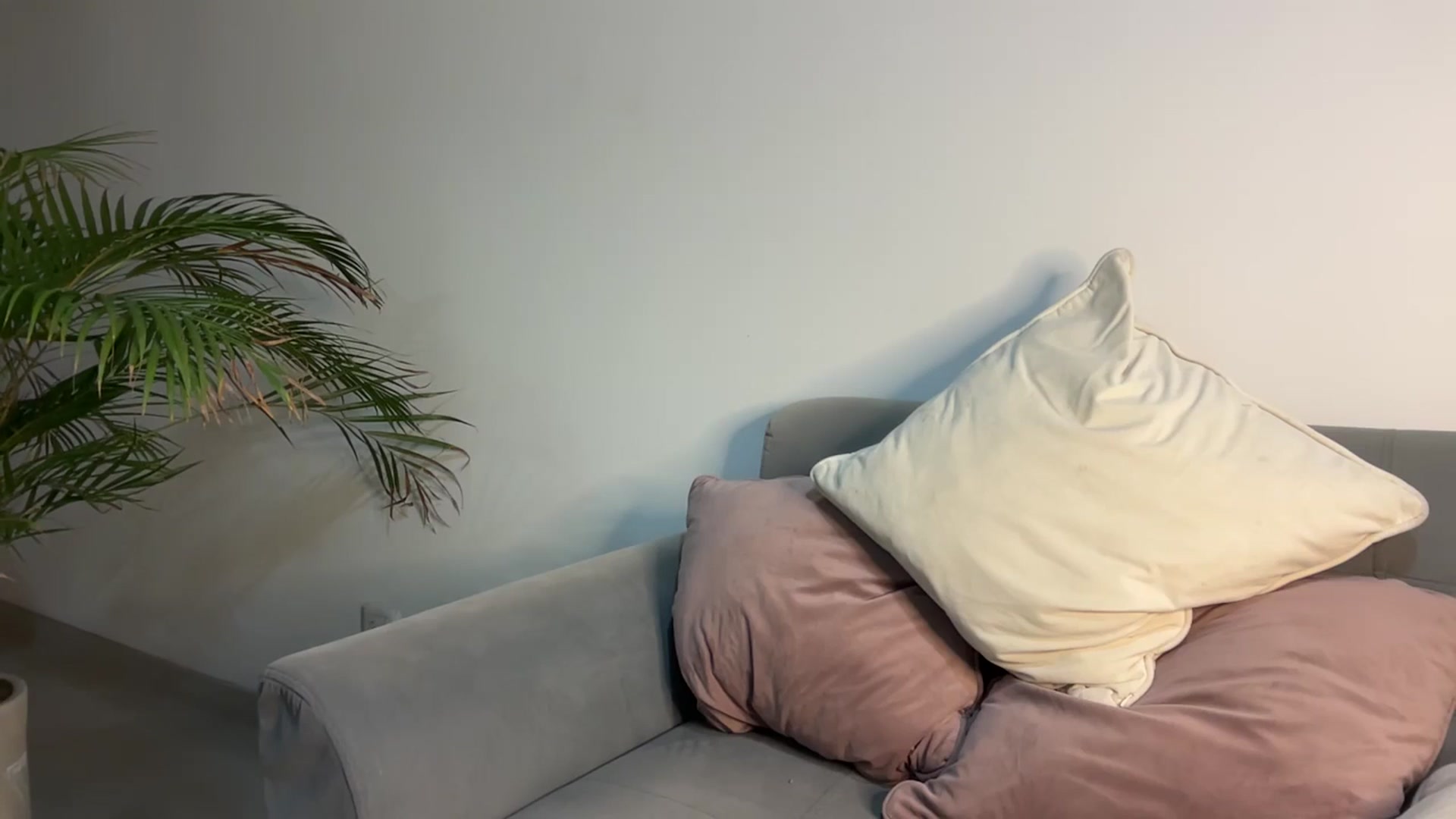 Gallery image thumbnail from Anastasia_sea's myfreecams stream on, 01/30/2025, 04:38 image 9 of 20