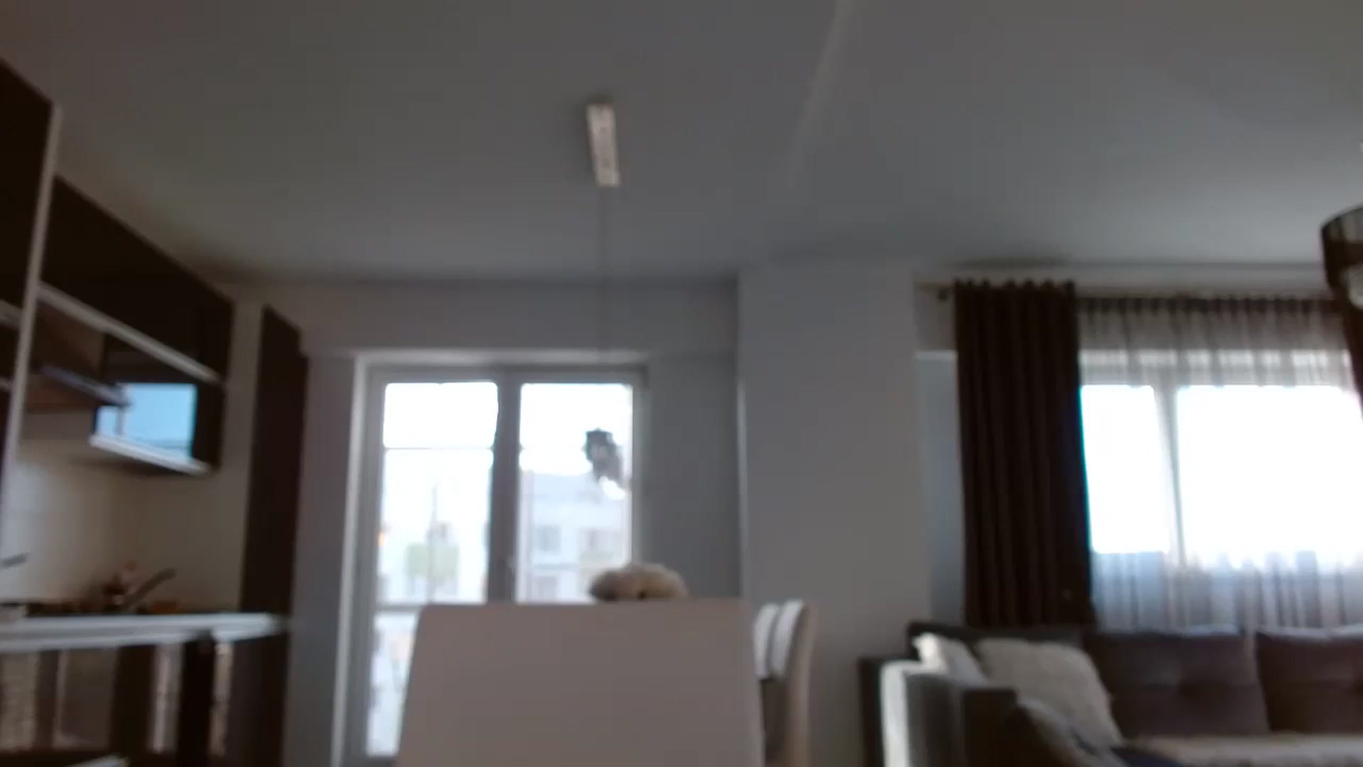 Gallery image thumbnail from Anayys's myfreecams stream on, 10/21/2023, 14:15 image 18 of 20