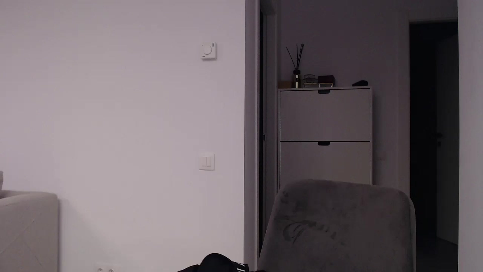 Gallery image thumbnail from Anayys's myfreecams stream on, 08/29/2024, 17:06 image 20 of 20