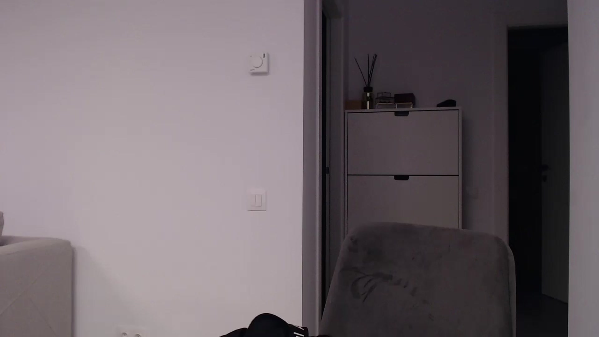 Gallery image thumbnail from Anayys's myfreecams stream on, 08/29/2024, 17:06 image 19 of 20