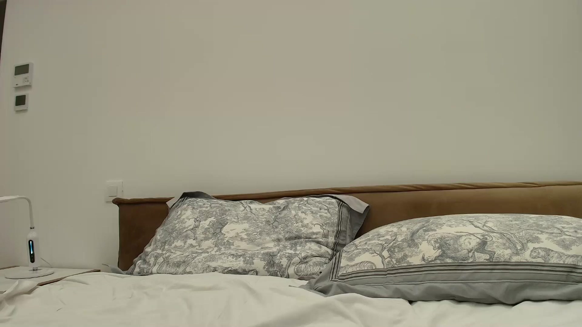 Gallery image thumbnail from Anayys's myfreecams stream on, 08/19/2025, 24:58 image 6 of 20
