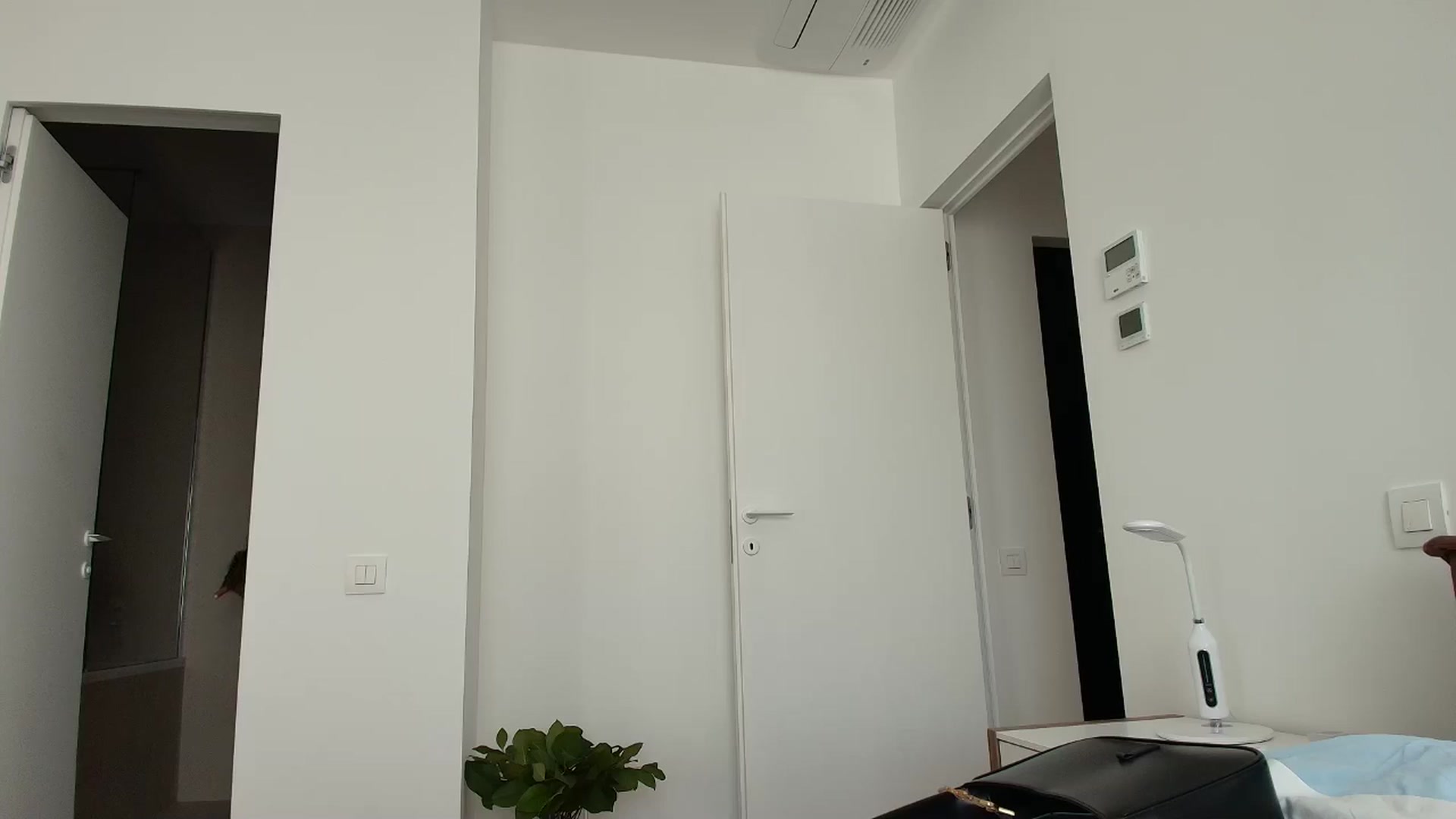 Gallery image thumbnail from Anayys's myfreecams stream on, 09/24/2025, 11:42 image 17 of 20