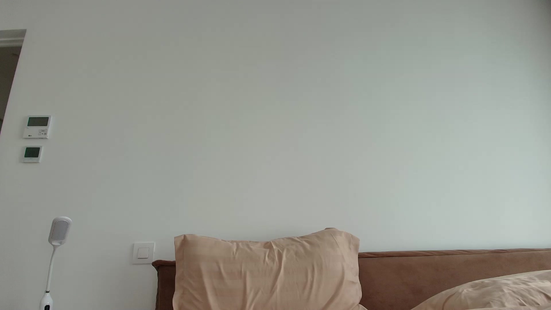 Gallery image thumbnail from Anayys's myfreecams stream on, 10/19/2025, 13:31 image 9 of 20