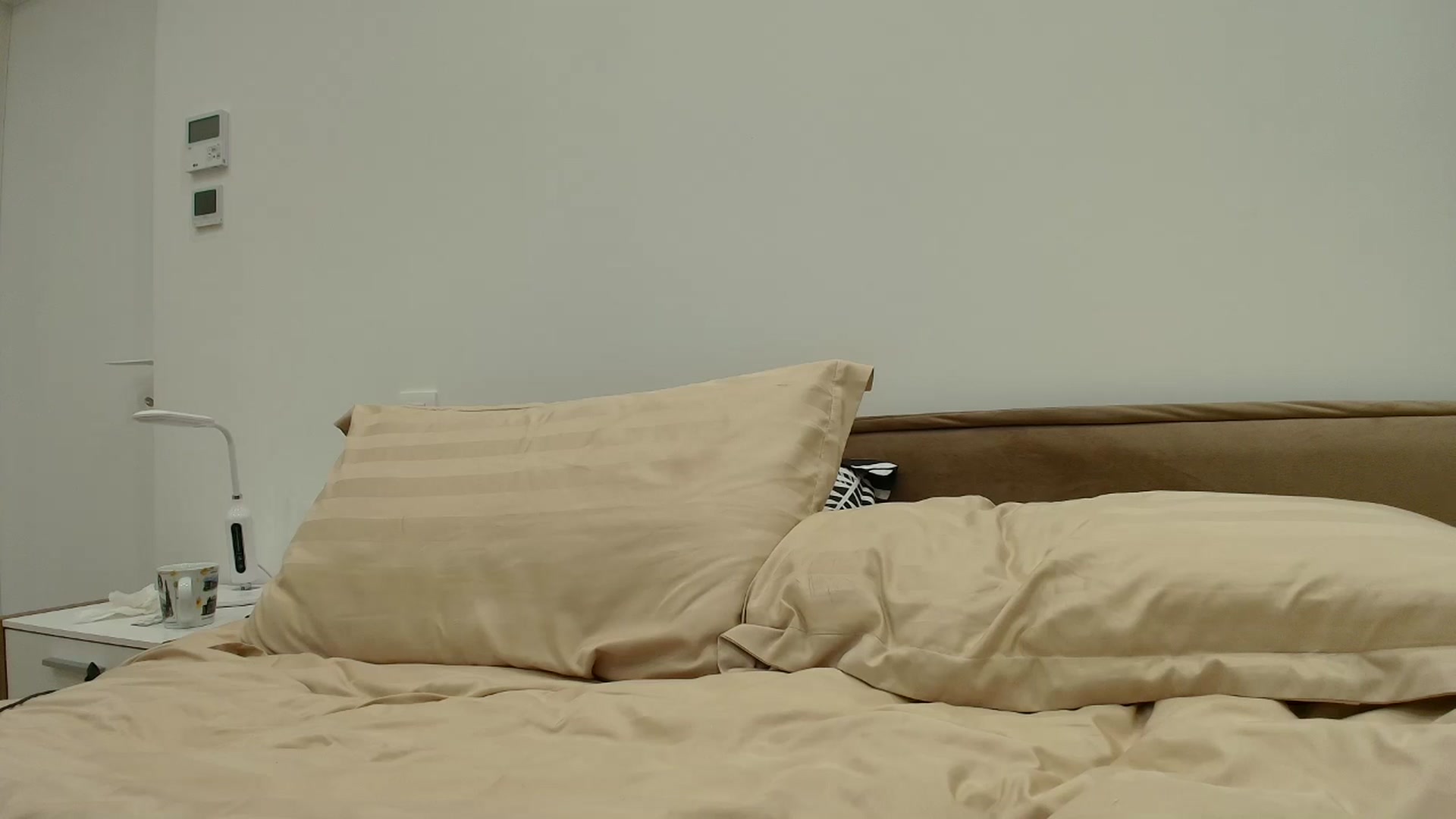 Gallery image thumbnail from Anayys's myfreecams stream on, 11/22/2025, 23:41 image 5 of 20