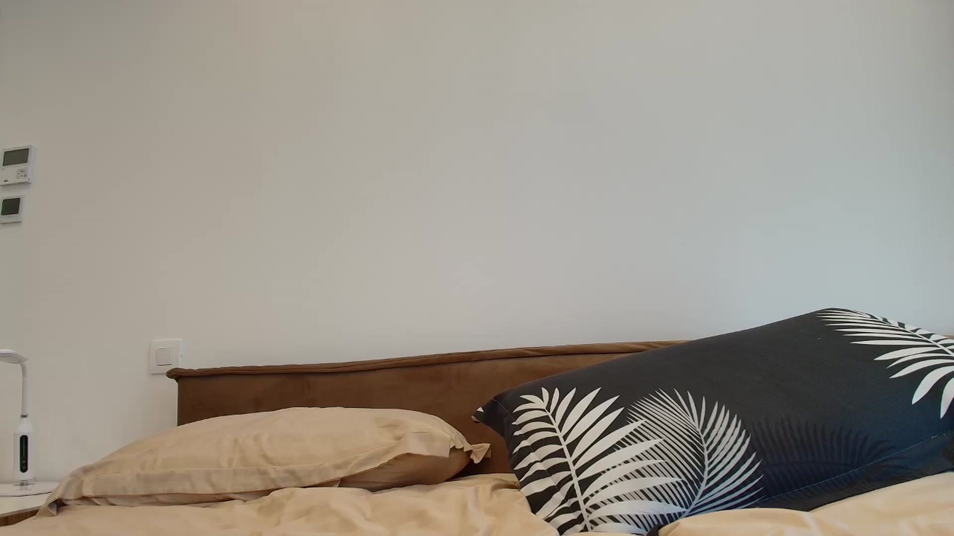 Gallery image thumbnail from Anayys's myfreecams stream on, 11/25/2025, 12:08 image 13 of 20