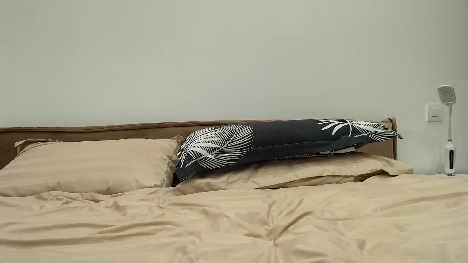 Gallery image thumbnail from Anayys's myfreecams stream on, 11/25/2025, 16:45 image 7 of 20