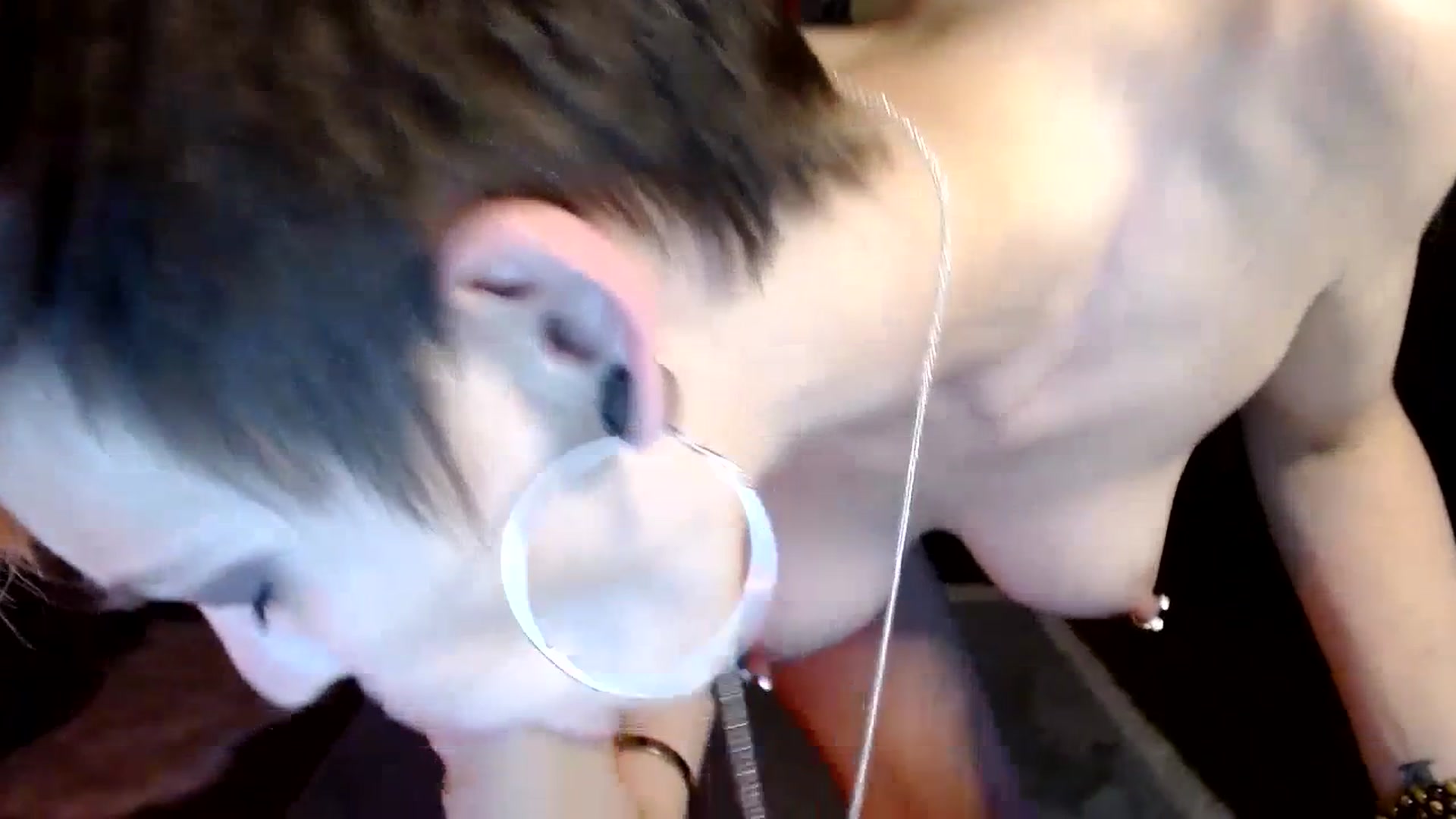 Gallery image thumbnail from Ancored's myfreecams stream on, 07/14/2023, 20:10 image 18 of 20