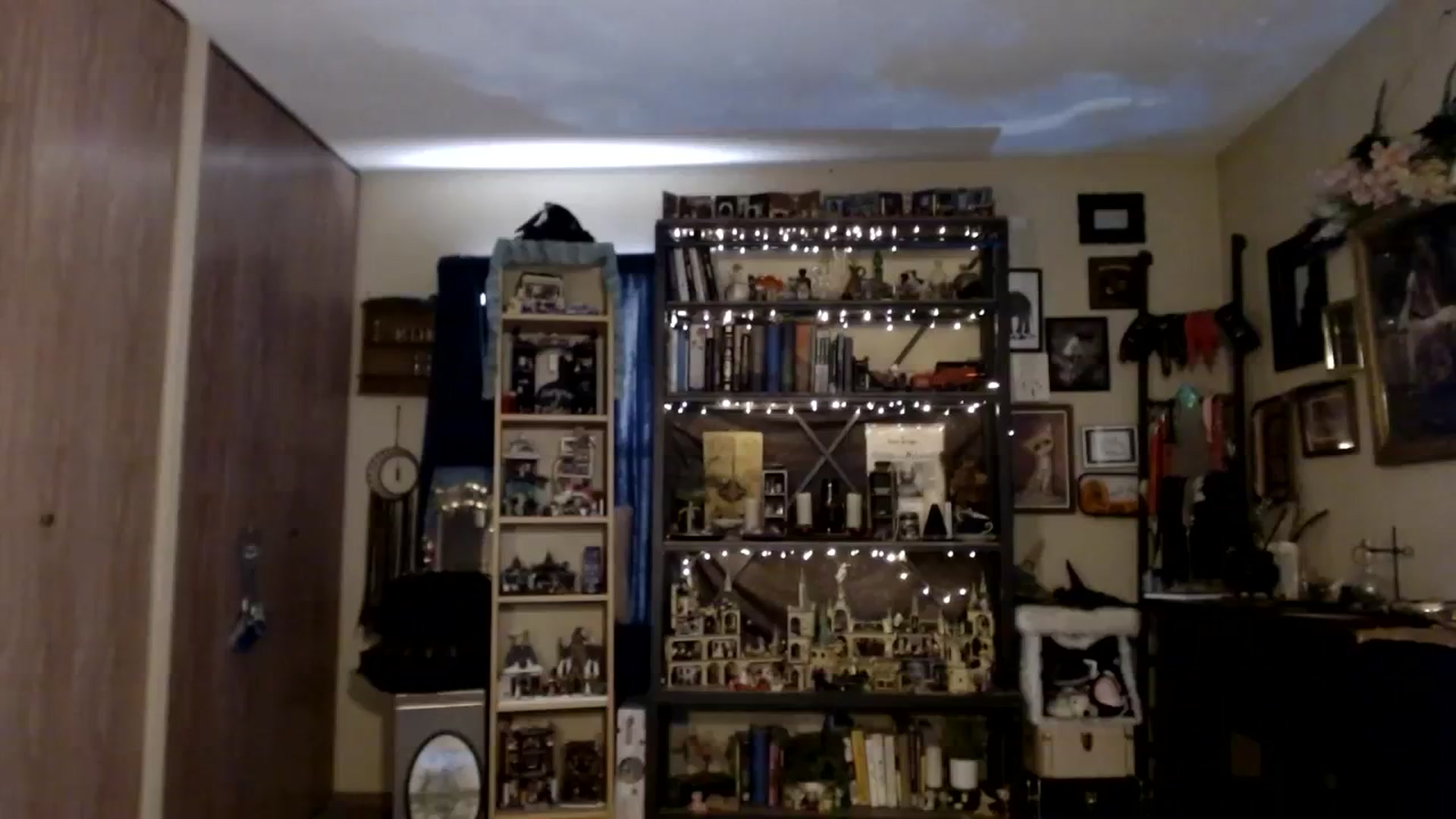 Gallery image thumbnail from Ancored's myfreecams stream on, 08/24/2023, 20:58 image 4 of 20
