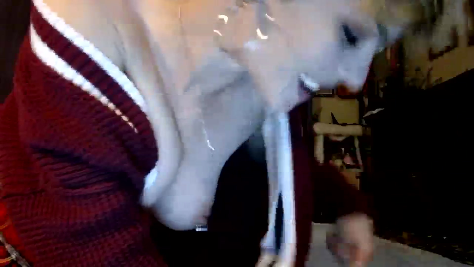 Gallery image thumbnail from Ancored's myfreecams stream on, 09/11/2023, 19:42 image 14 of 20