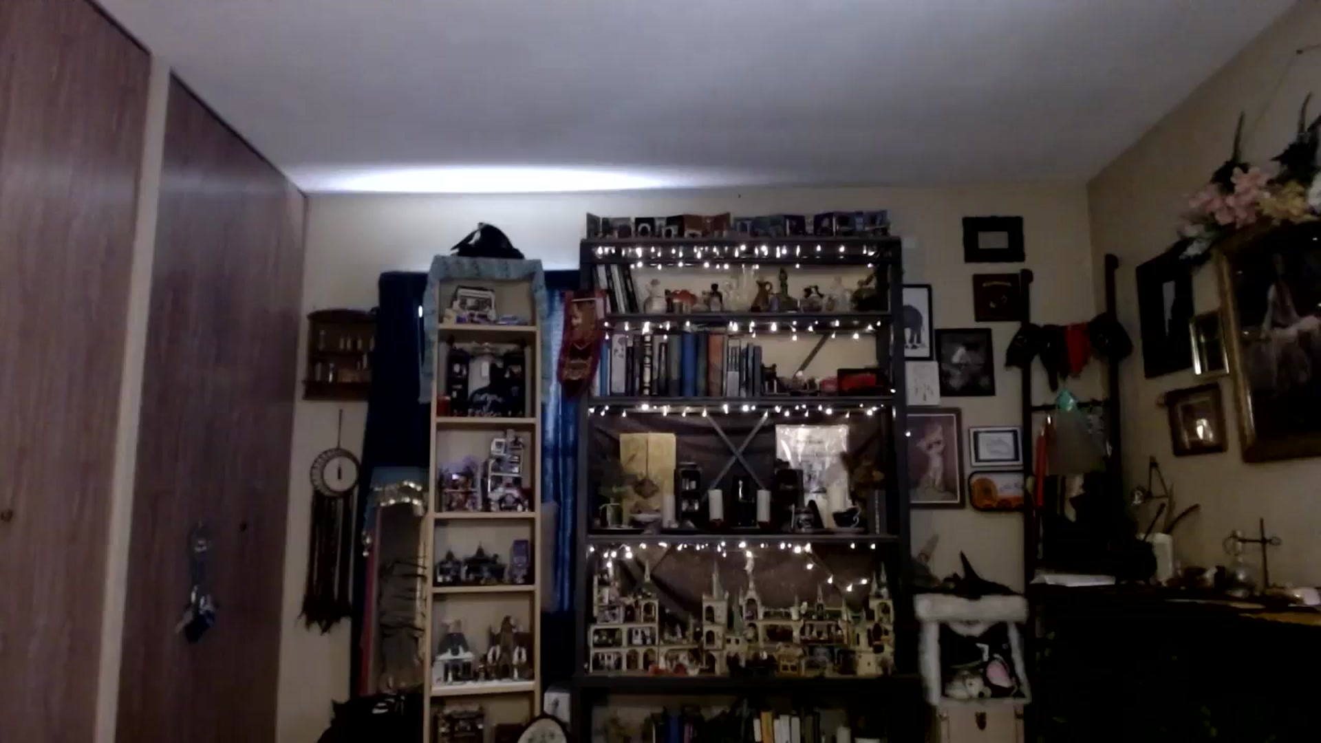 Gallery image thumbnail from Ancored's myfreecams stream on, 09/22/2023, 21:07 image 1 of 20