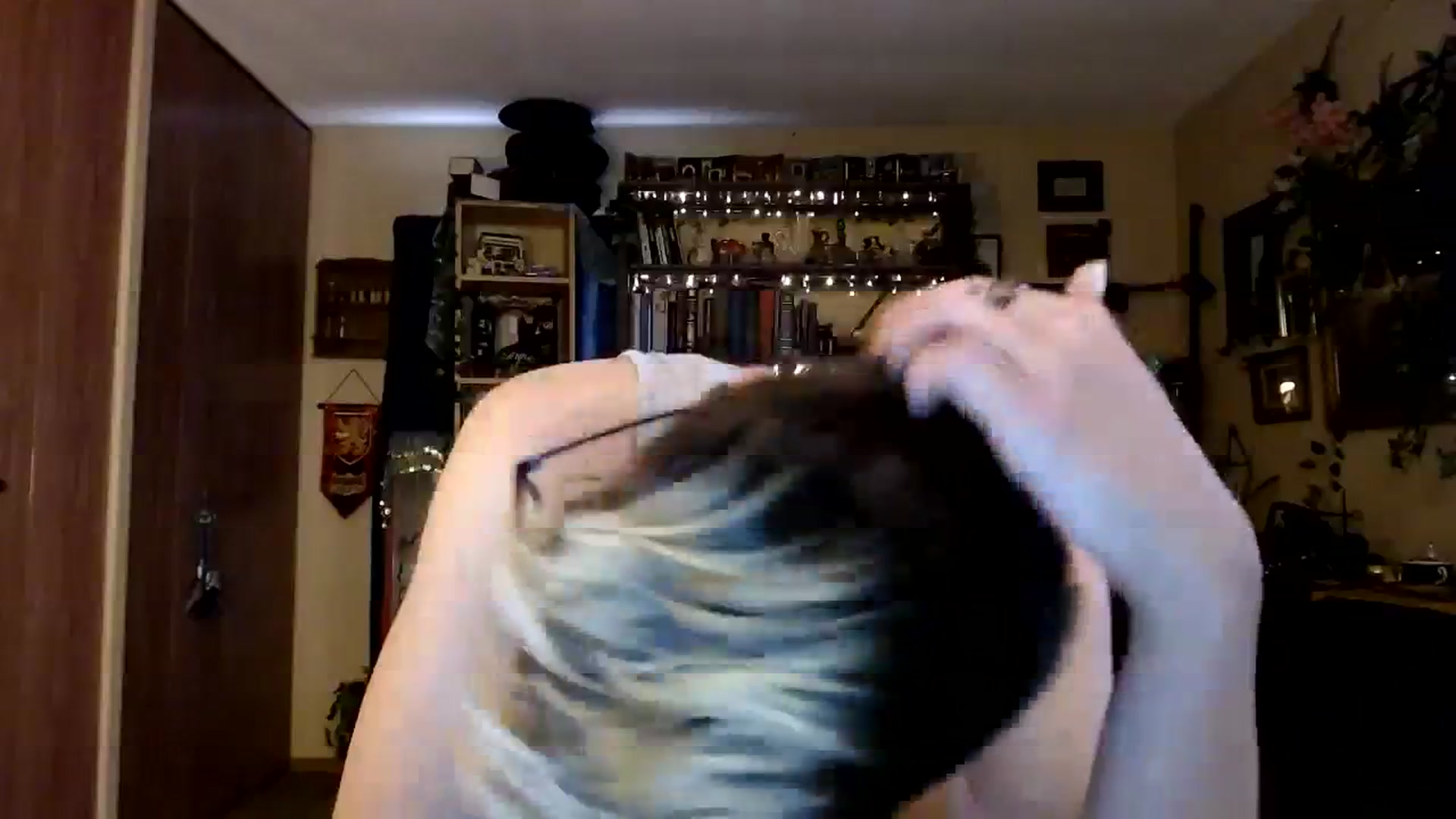 Gallery image thumbnail from Ancored's myfreecams stream on, 10/24/2023, 20:27 image 20 of 20