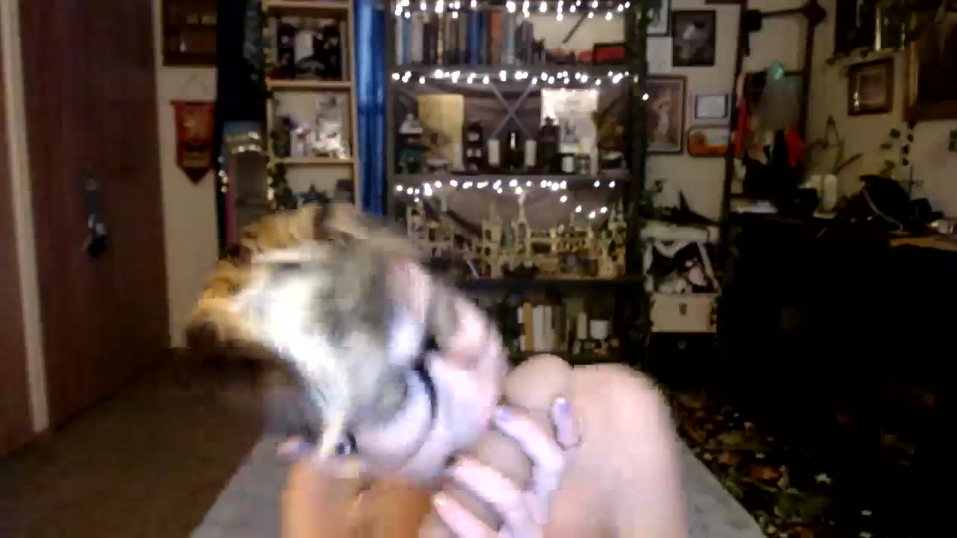 Gallery image thumbnail from Ancored's myfreecams stream on, 10/27/2023, 21:09 image 16 of 20