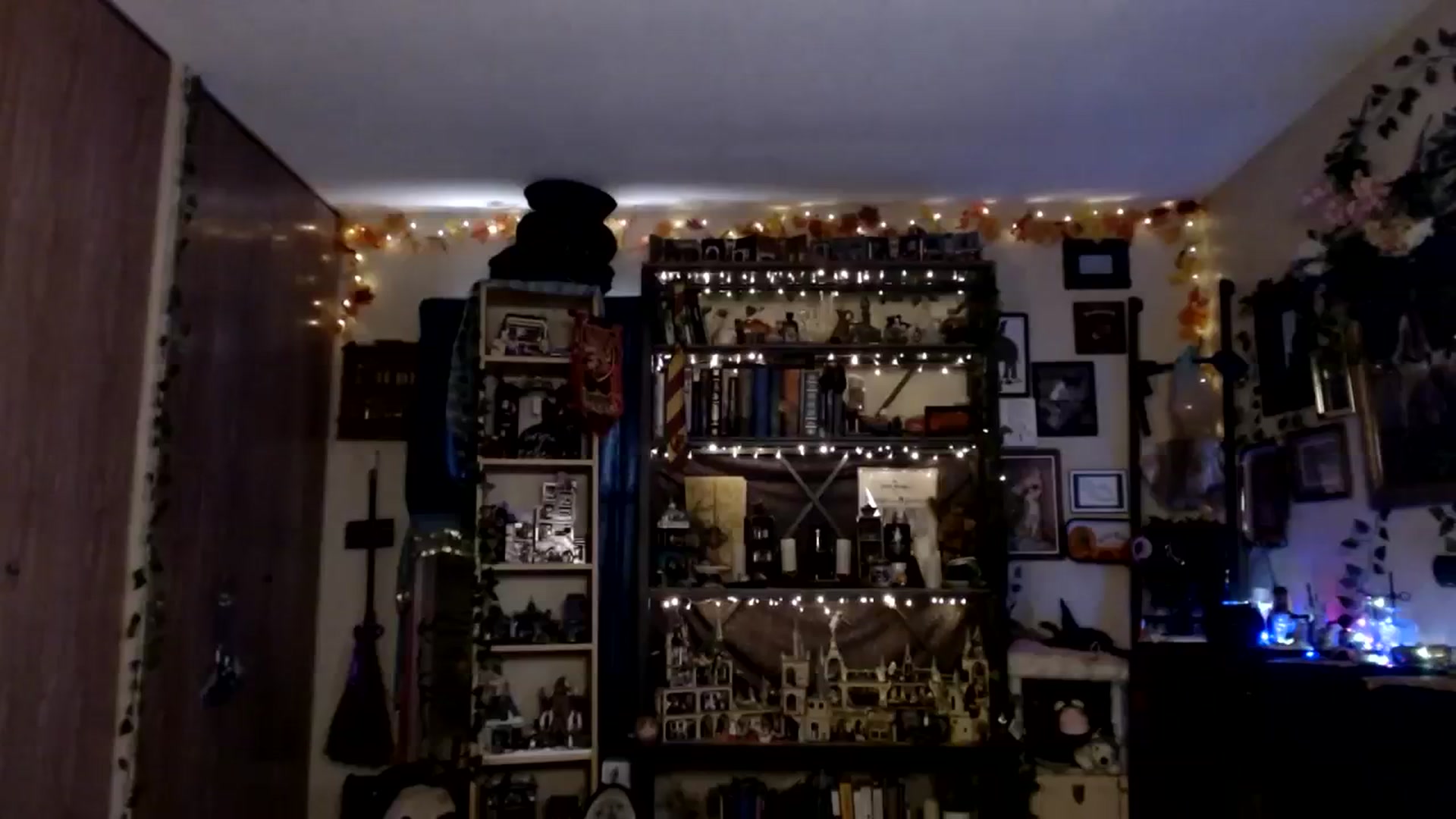 Gallery image thumbnail from Ancored's myfreecams stream on, 11/22/2023, 21:54 image 8 of 20