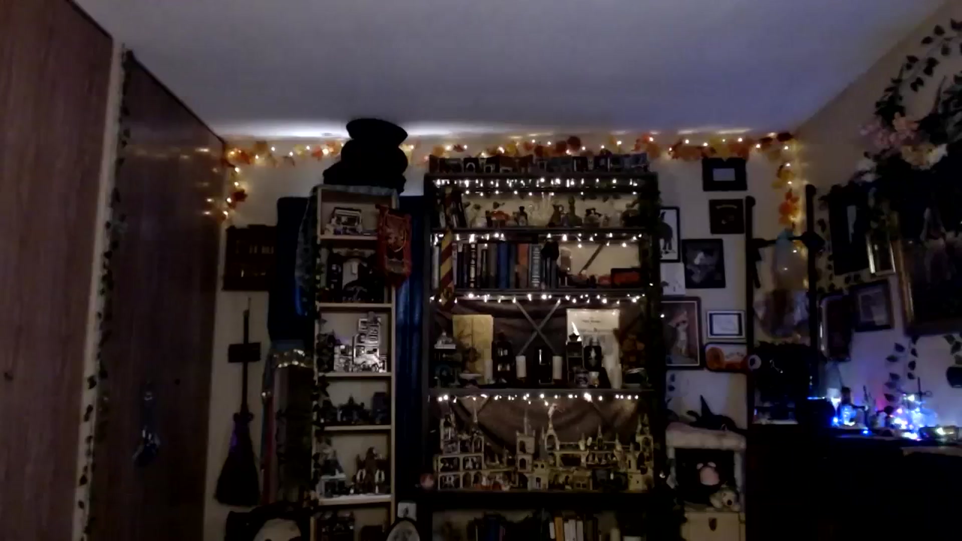 Gallery image thumbnail from Ancored's myfreecams stream on, 11/22/2023, 21:54 image 9 of 20