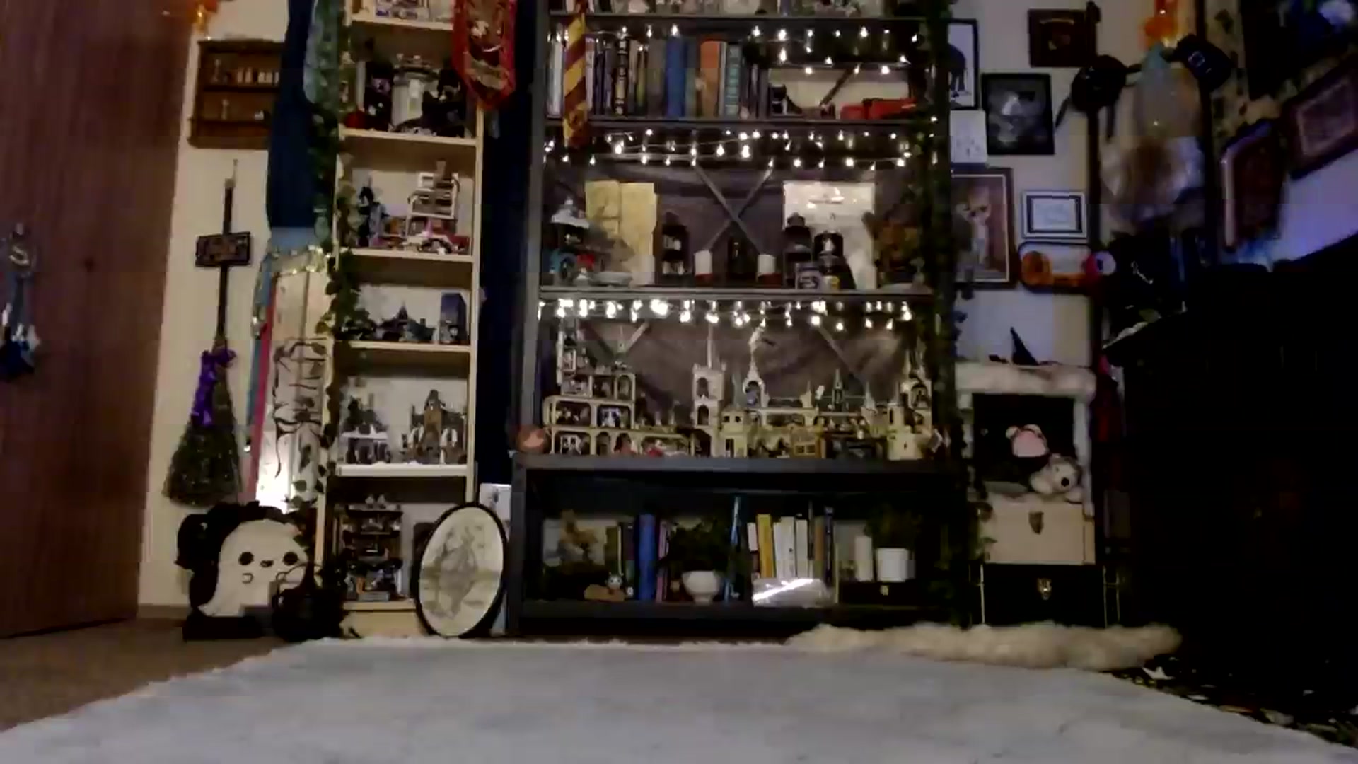 Gallery image thumbnail from Ancored's myfreecams stream on, 11/29/2023, 01:15 image 5 of 20