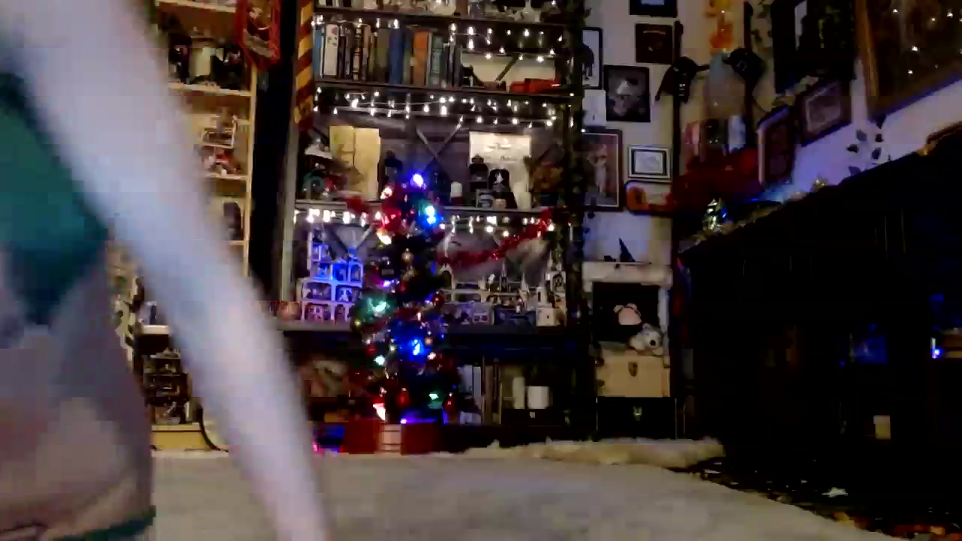 Gallery image thumbnail from Ancored's myfreecams stream on, 12/08/2023, 23:25 image 19 of 20