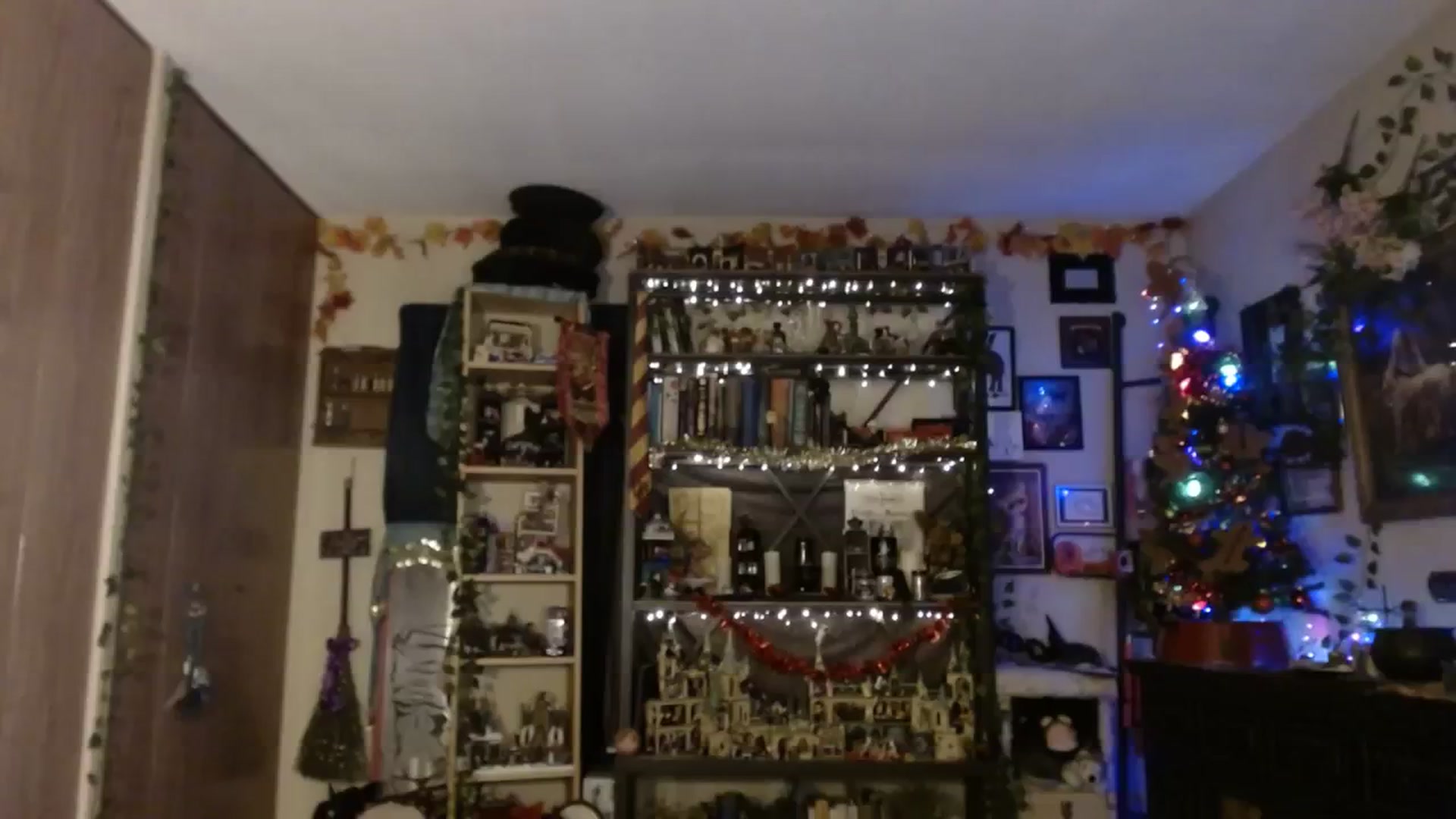 Gallery image thumbnail from Ancored's myfreecams stream on, 12/25/2023, 03:03 image 17 of 20