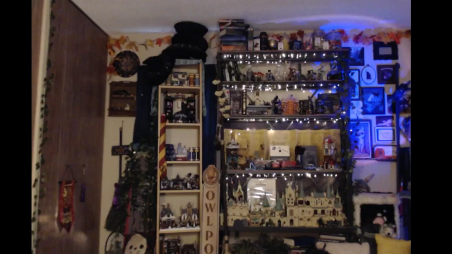 Gallery image thumbnail from Ancored's myfreecams stream on, 09/13/2024, 01:02 image 17 of 20