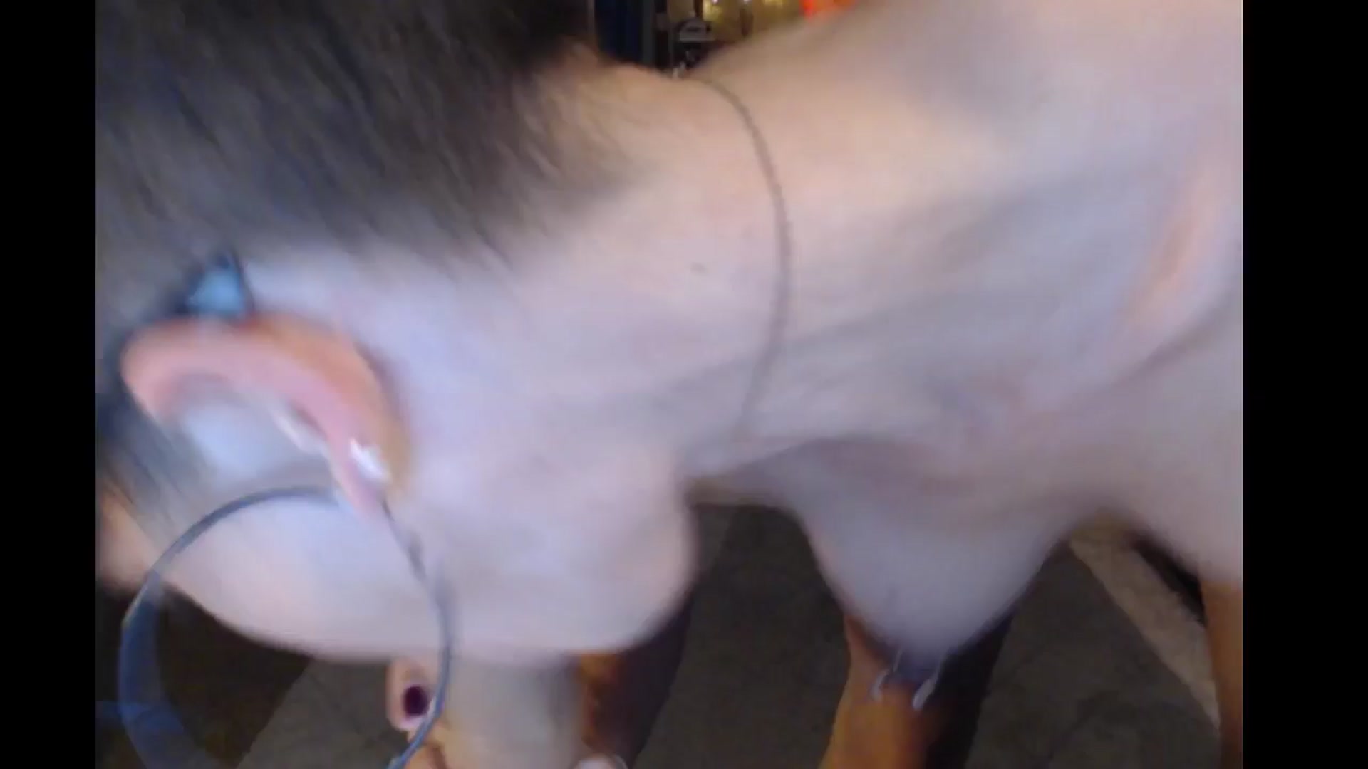 Gallery image thumbnail from Ancored's myfreecams stream on, 09/23/2024, 23:57 image 15 of 20