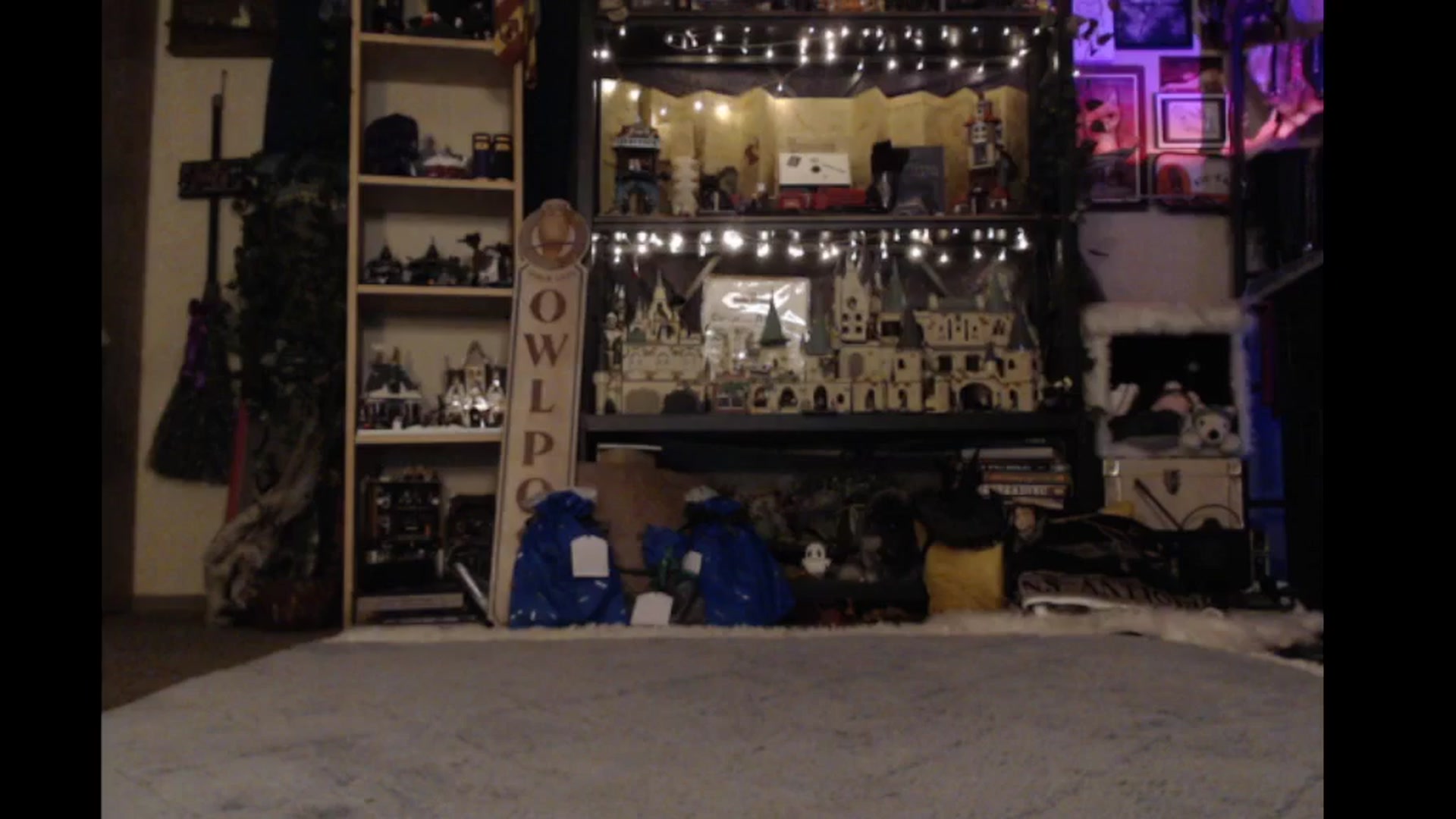Gallery image thumbnail from Ancored's myfreecams stream on, 11/09/2024, 24:09 image 10 of 20