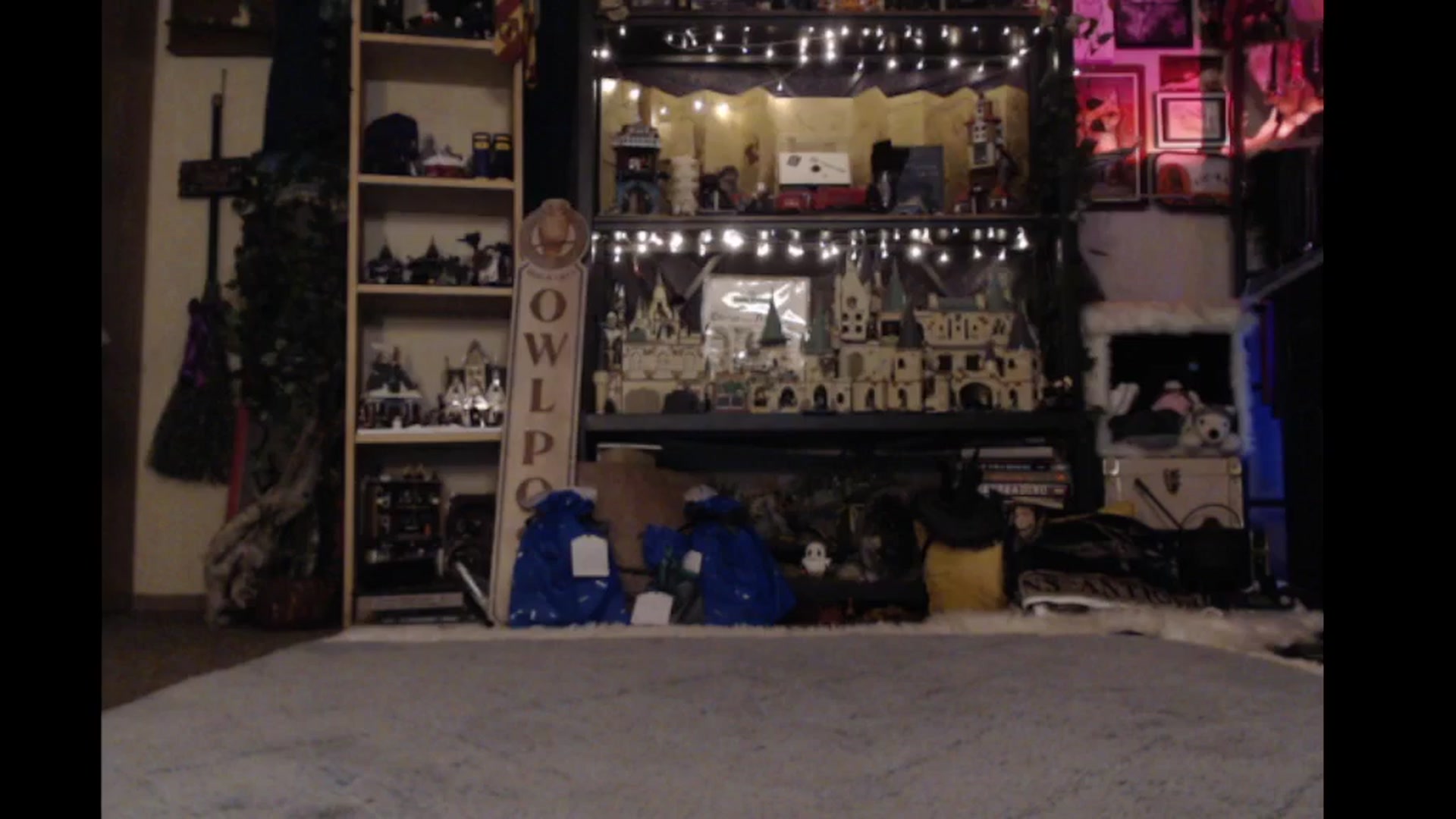 Gallery image thumbnail from Ancored's myfreecams stream on, 11/09/2024, 24:09 image 9 of 20
