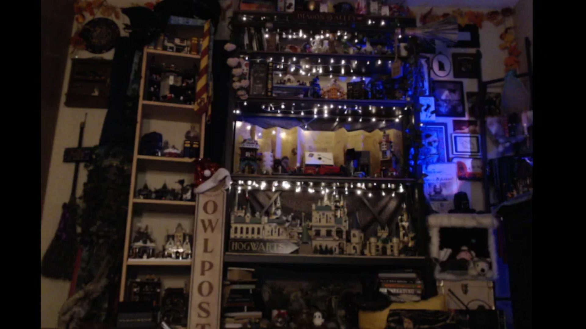 Gallery image thumbnail from Ancored's myfreecams stream on, 11/28/2024, 02:05 image 12 of 20