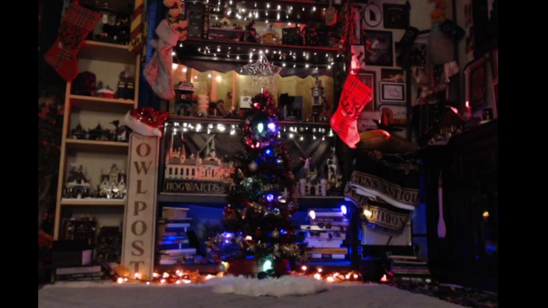 Gallery image thumbnail from Ancored's myfreecams stream on, 11/30/2024, 21:27 image 5 of 20