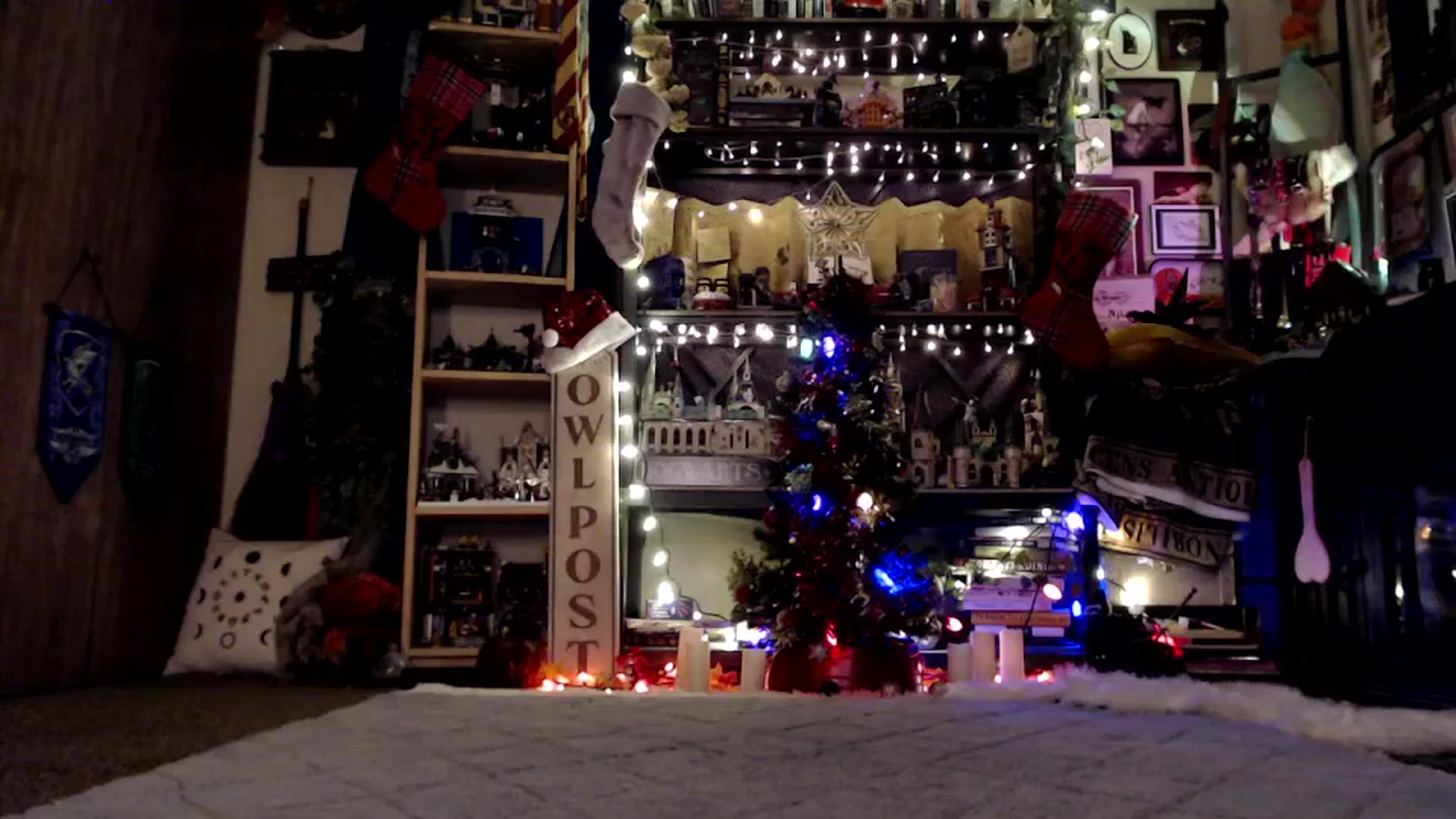 Gallery image thumbnail from Ancored's myfreecams stream on, 12/10/2024, 23:55 image 9 of 20
